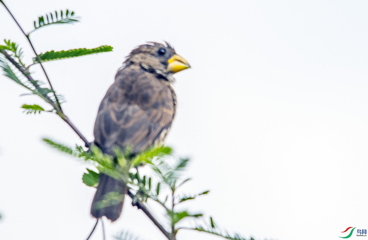 DSC_8676.jpg