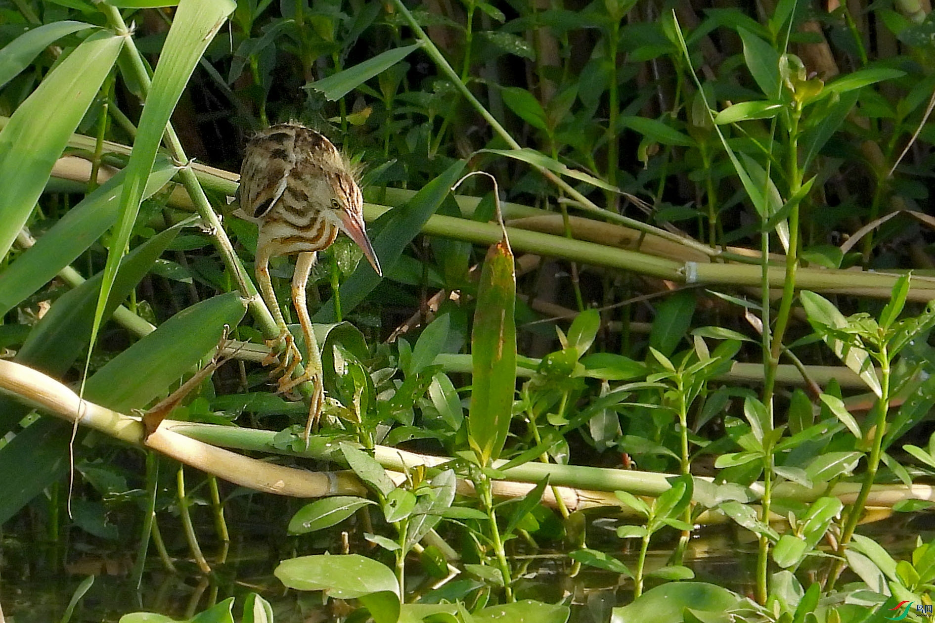DSCN8659.JPG