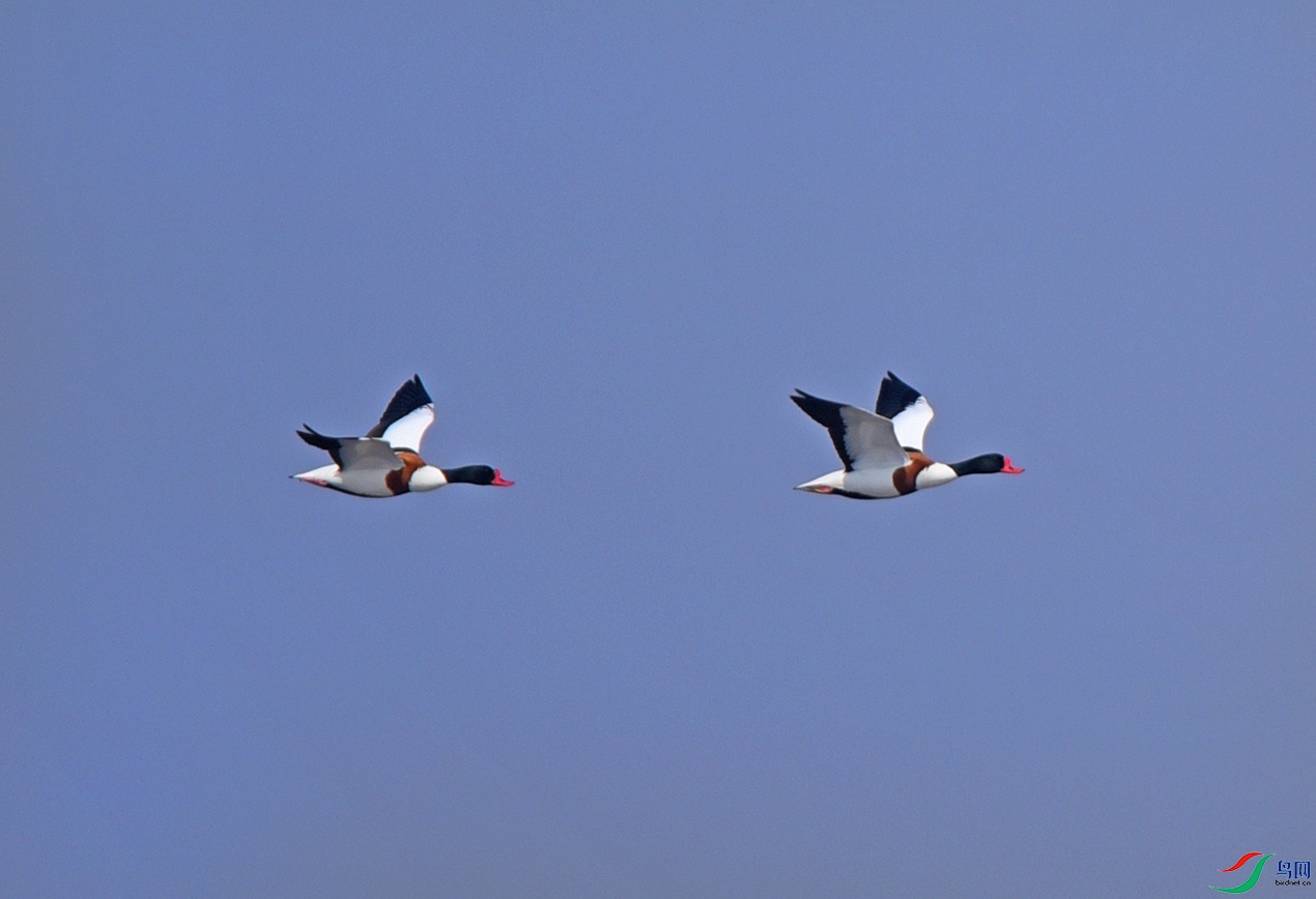 DSC_0710.jpg