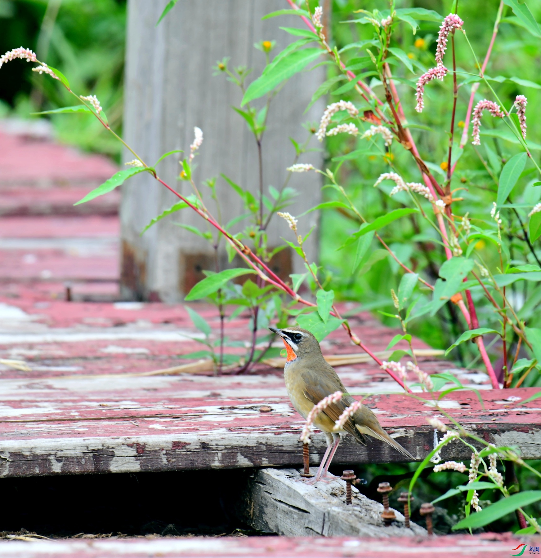 DSC_9905.jpg