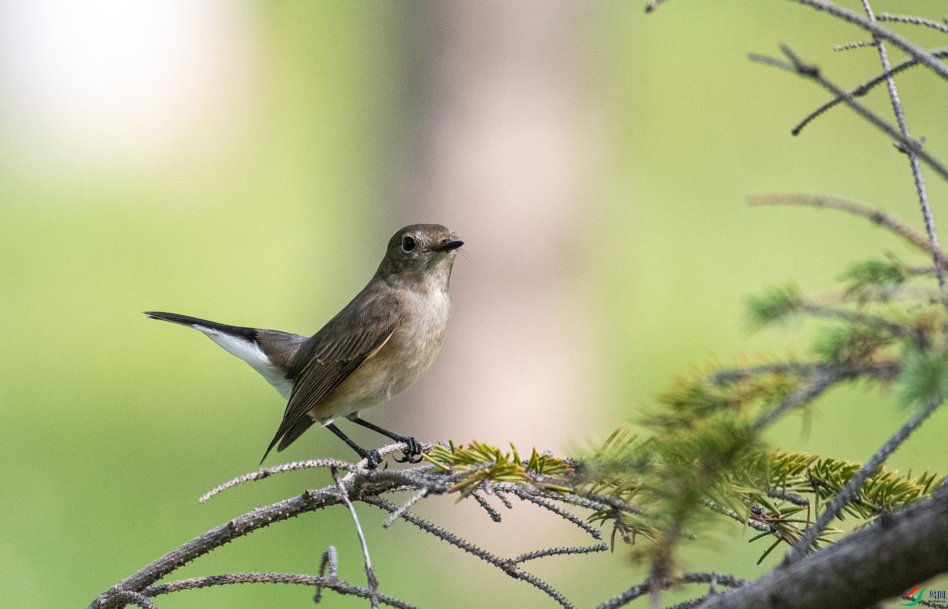 DSC_0175.jpg