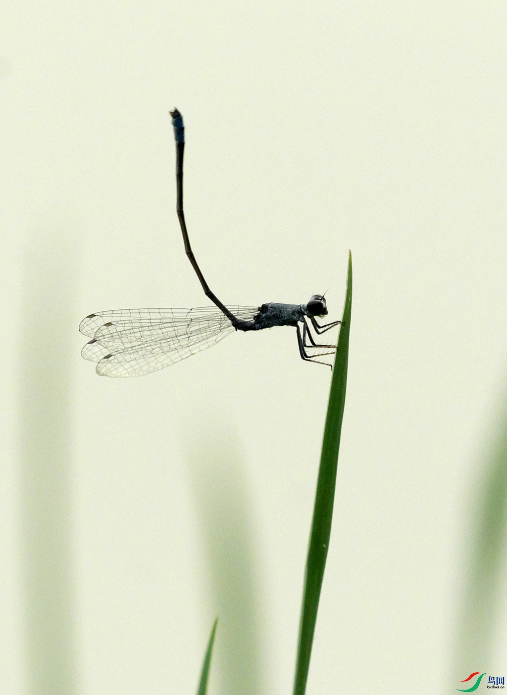 DSCF9172.jpg