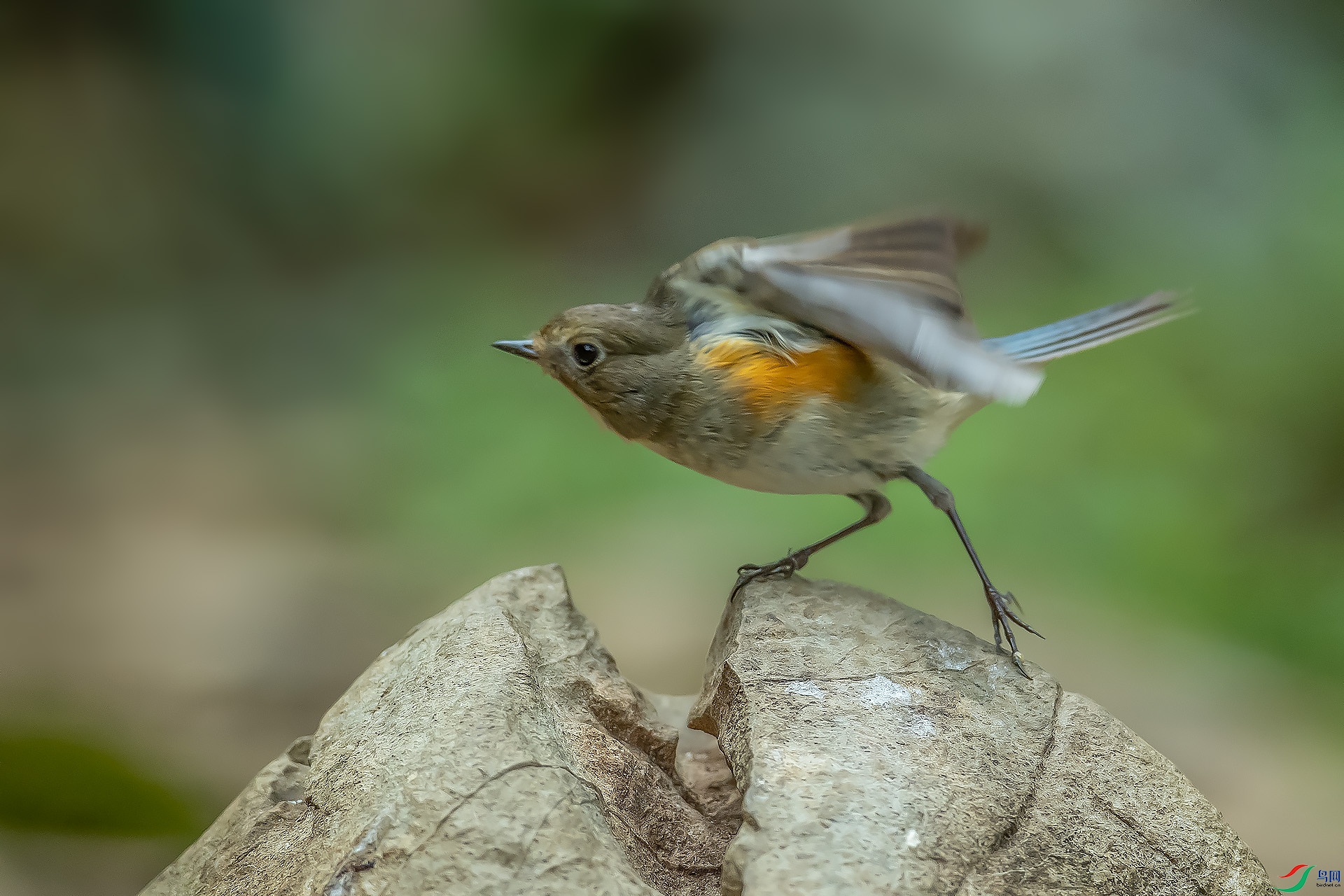 DSC_3123.jpg