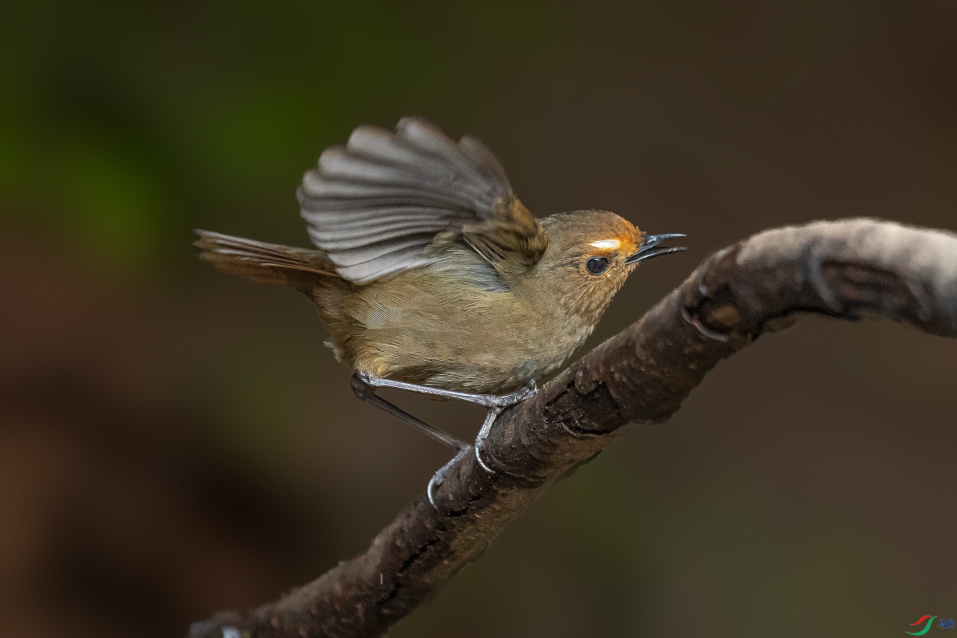 DSC_3062.jpg