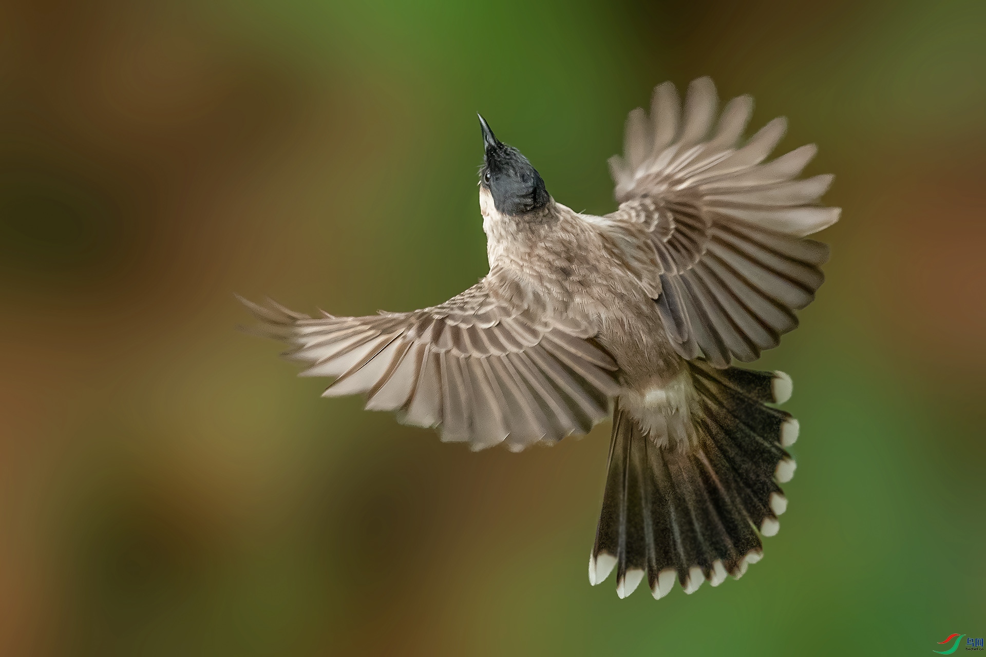 DSC_3612.jpg