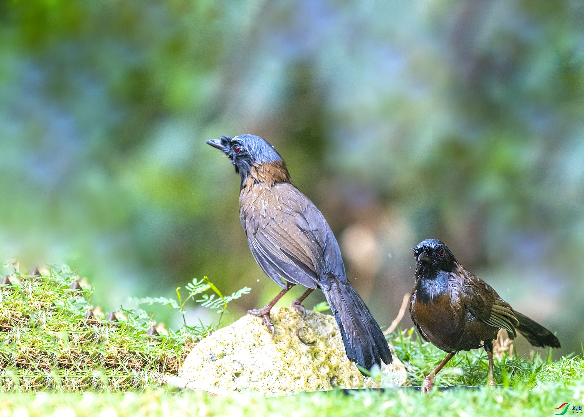 6986 ����.jpg