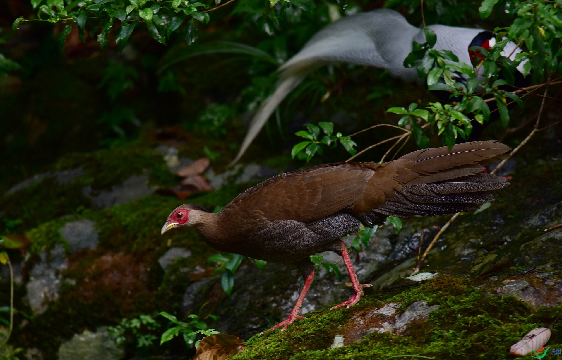 D8I_0274.jpg