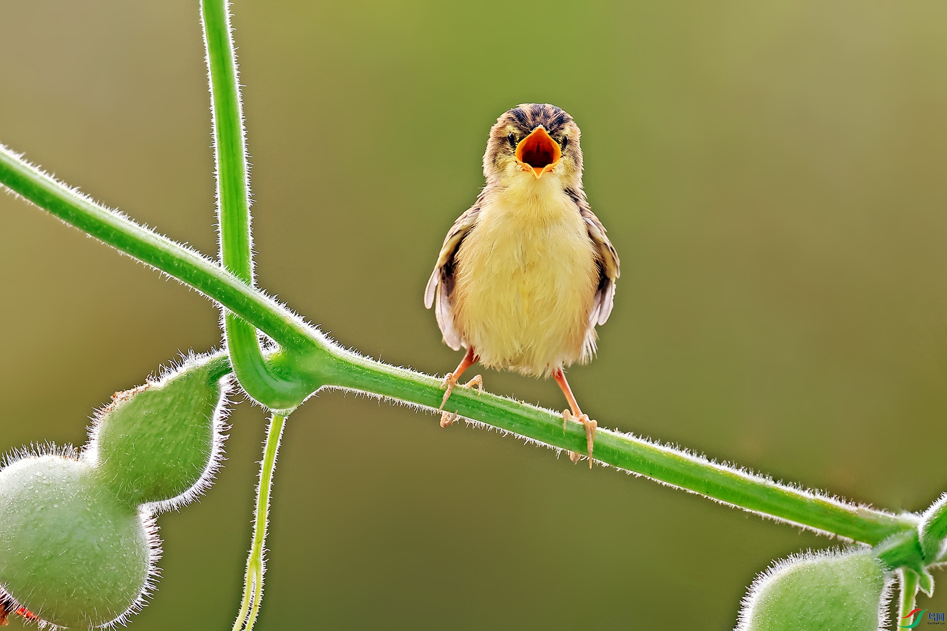 ����βݺ221-0.jpg