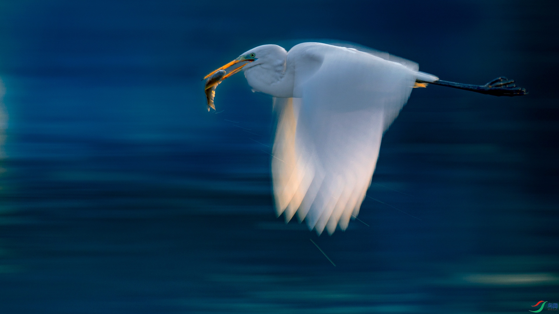_X7A9915.jpg