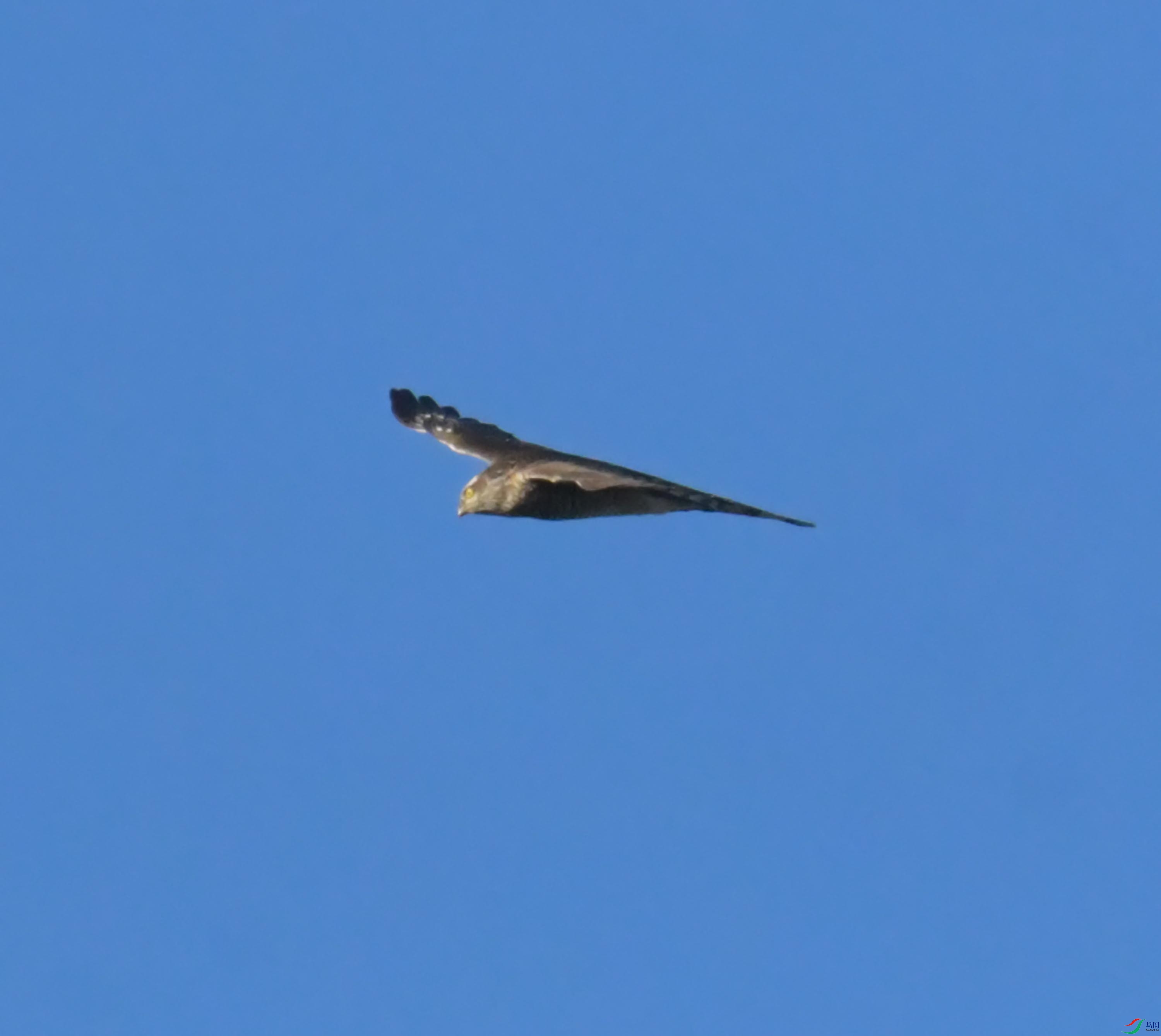 DSC_2895.JPG