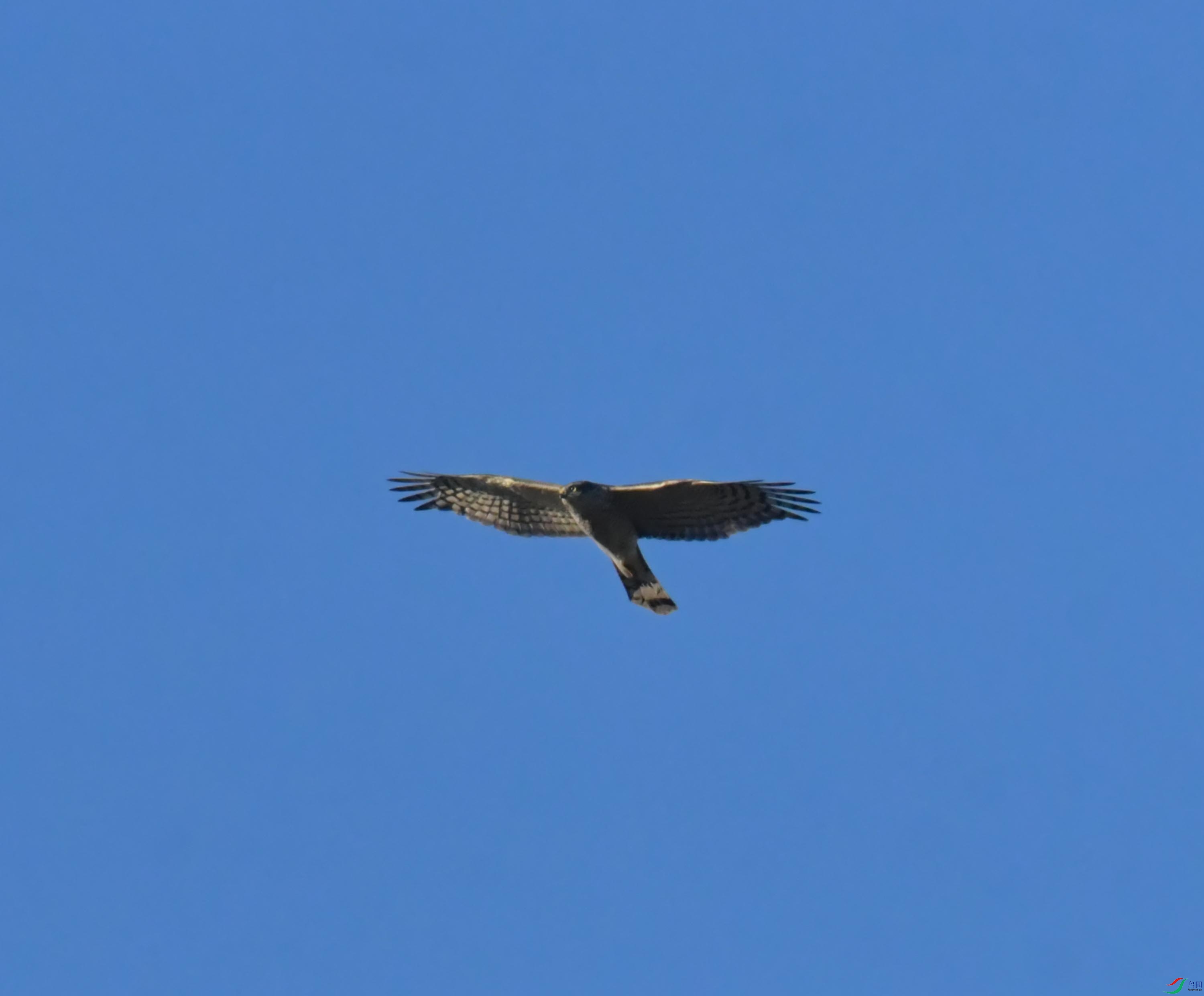 DSC_2897.JPG