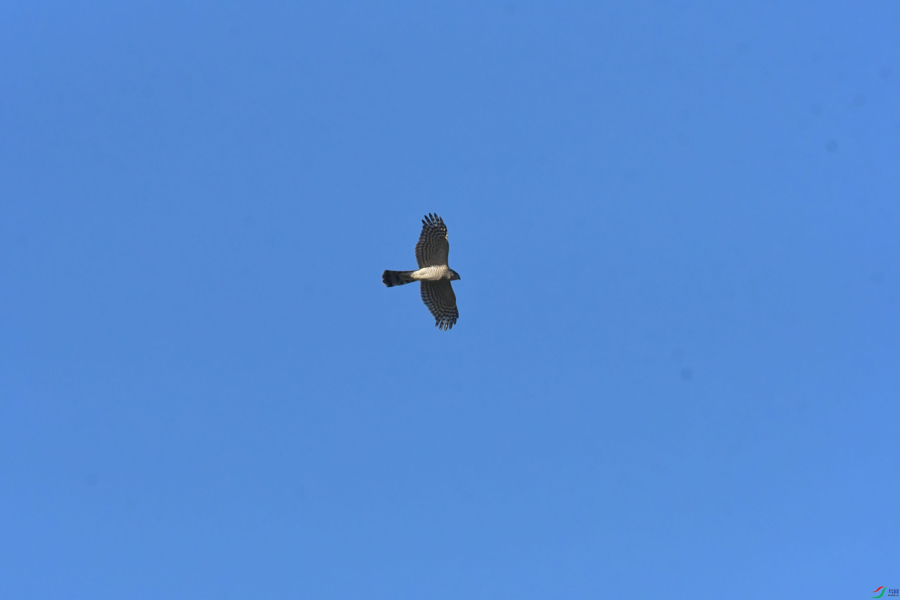 DSC_2906.JPG