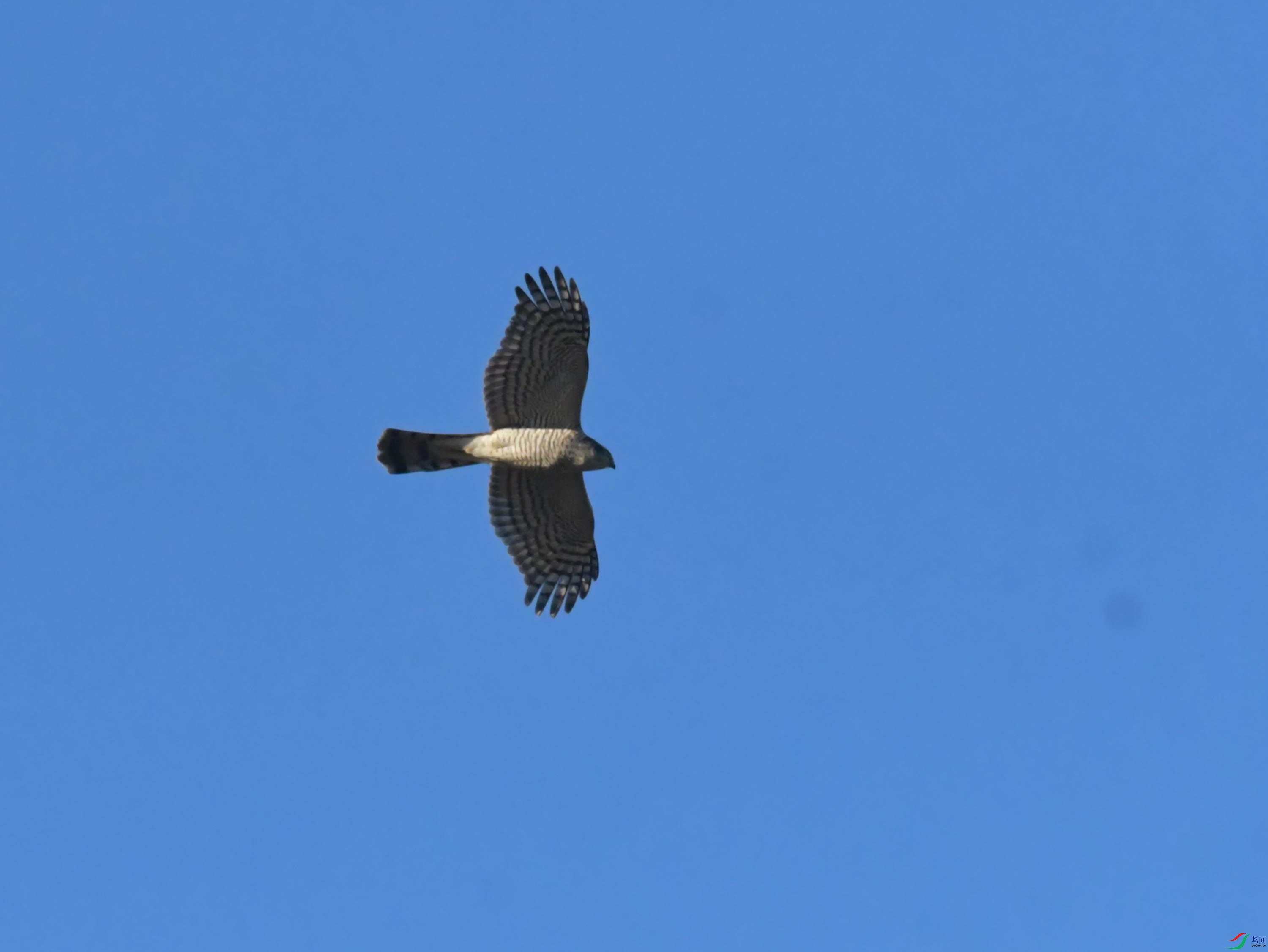 DSC_2907.JPG