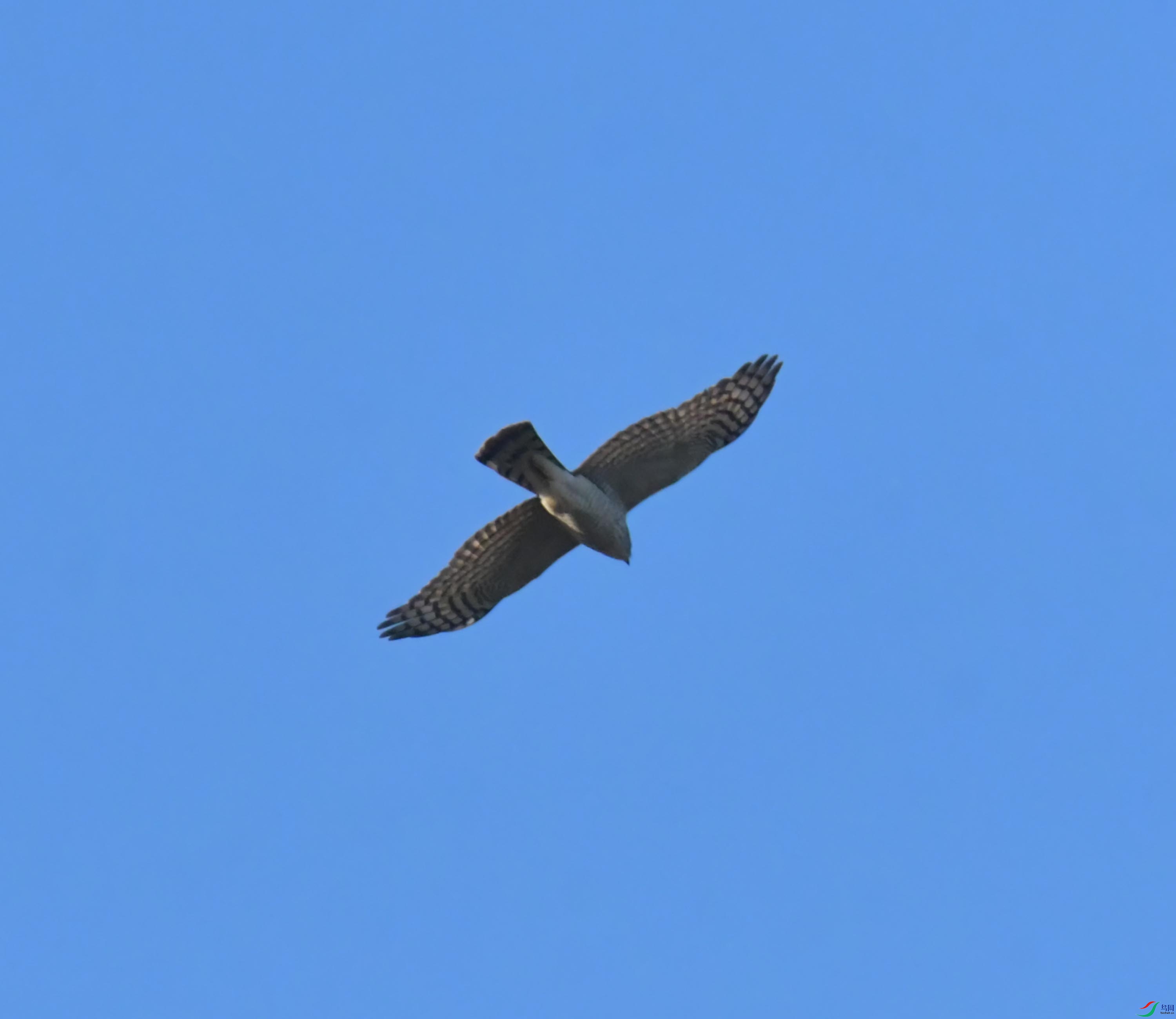 DSC_2909.JPG