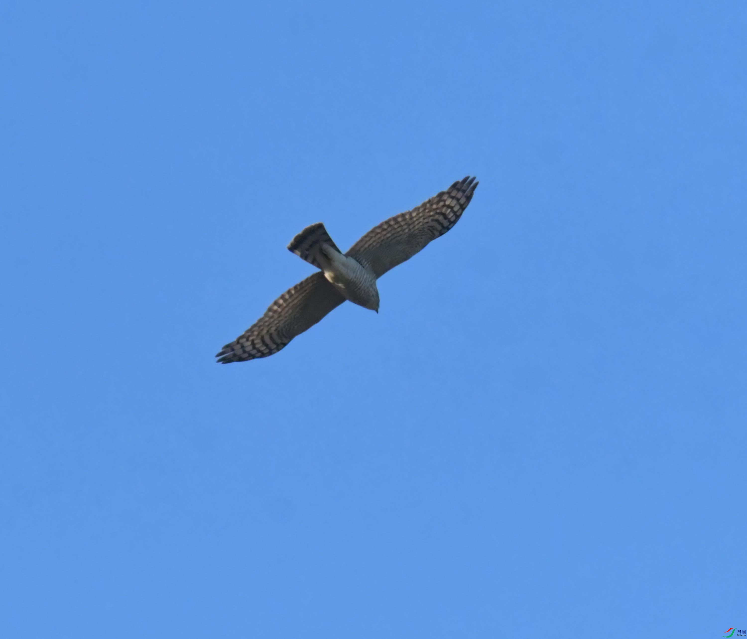 DSC_2910.JPG