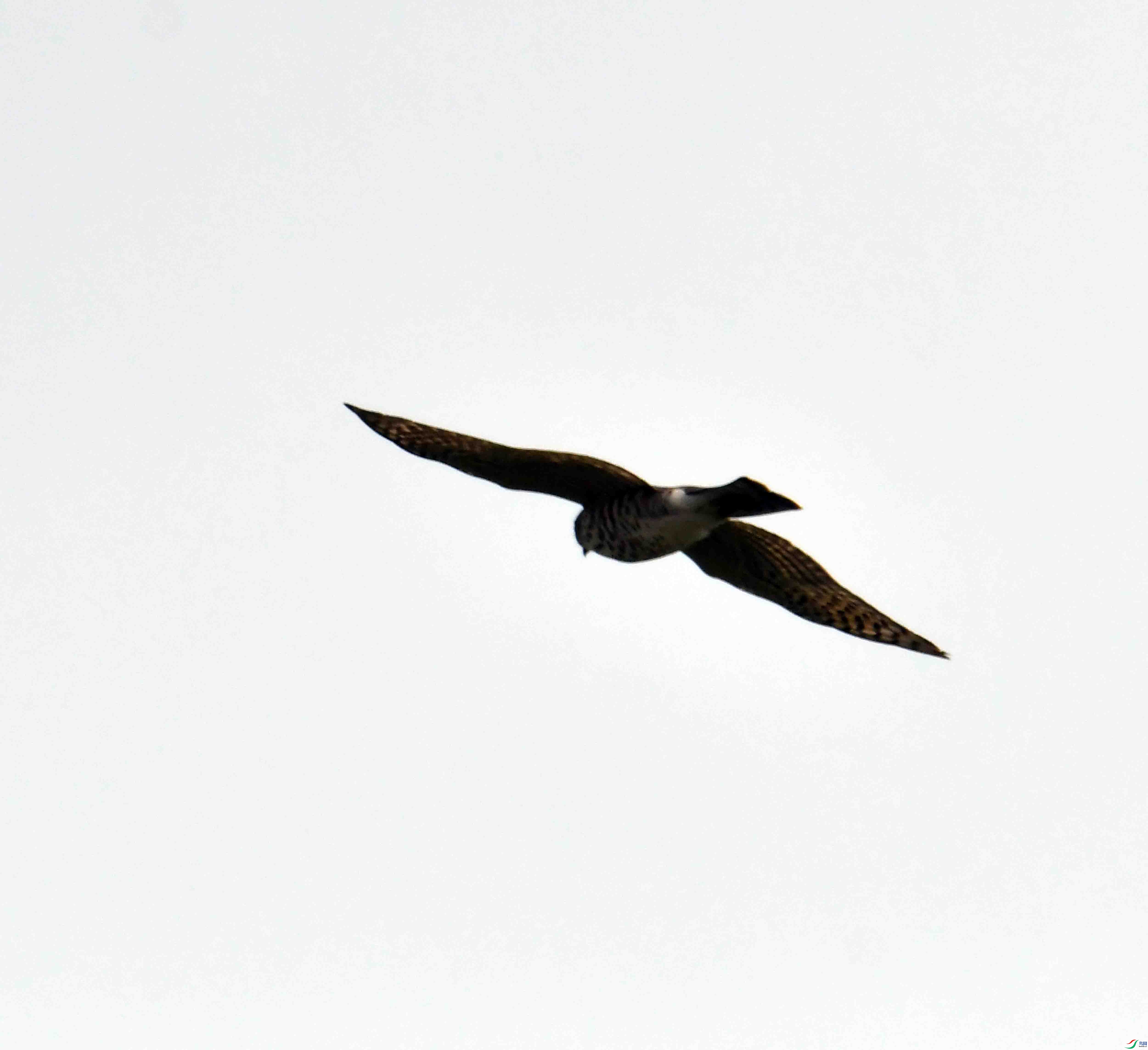 DSC_3616.JPG
