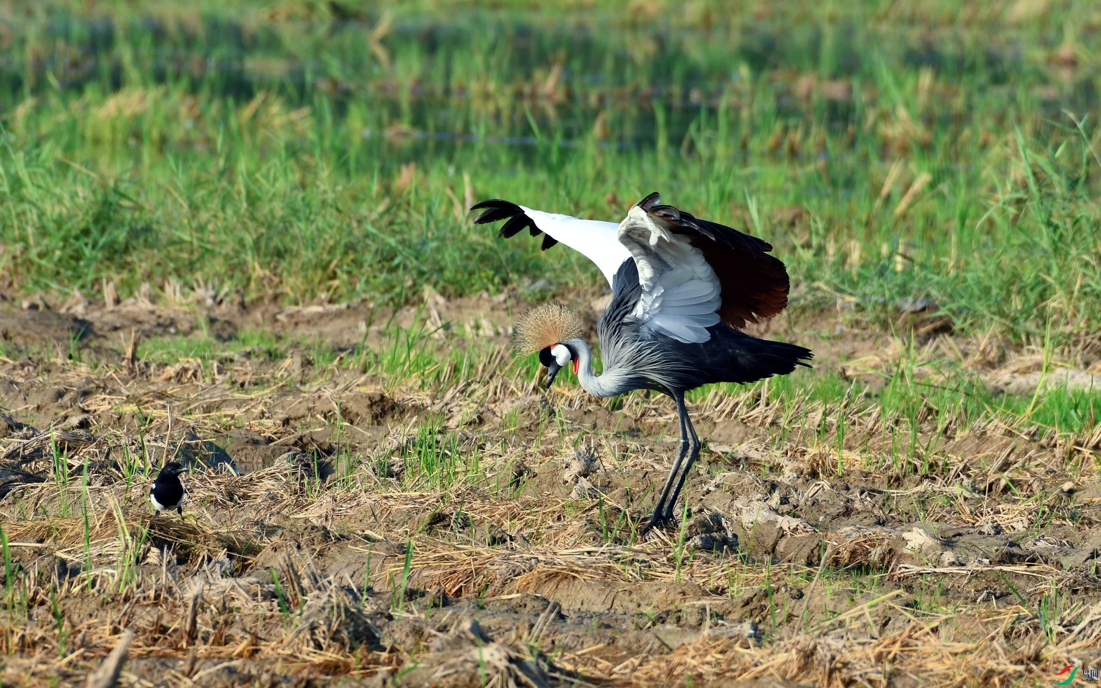 DSC_8475.JPG