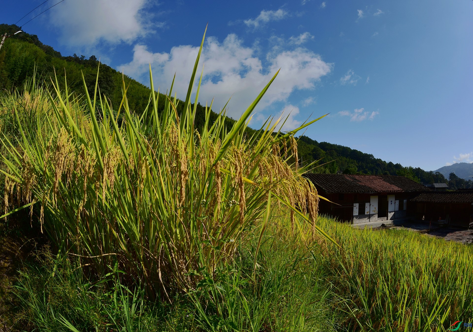 D8I_1108.jpg
