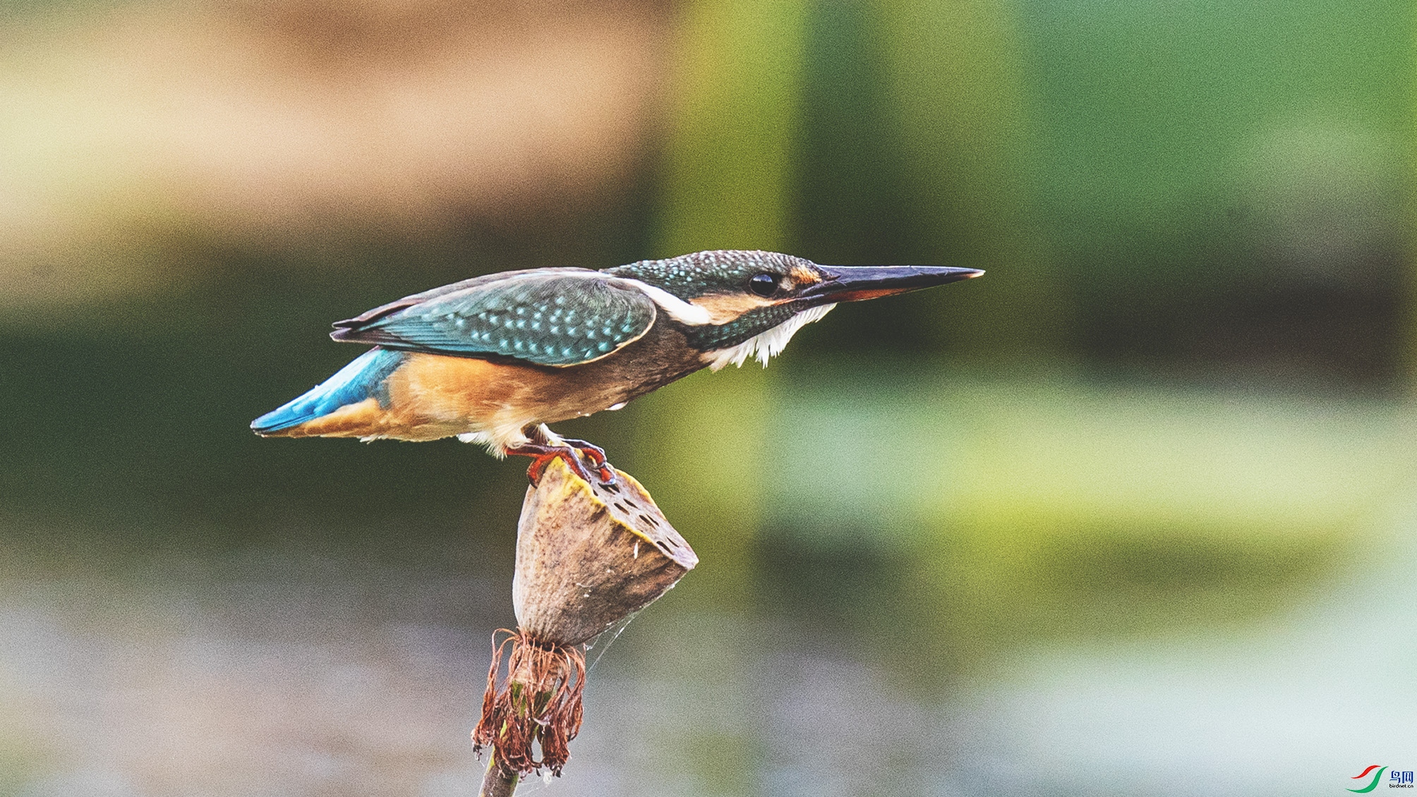 _90I5384 ����.jpg