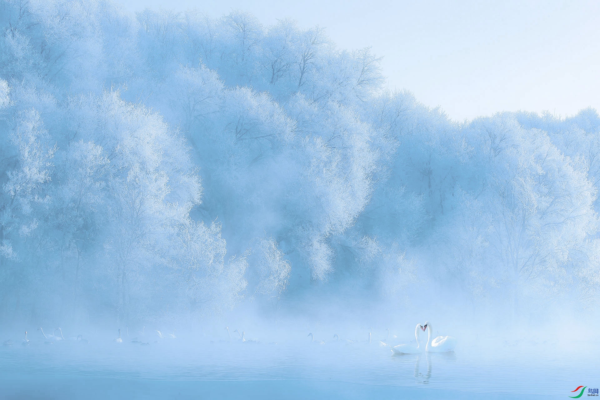 _T6I6958 ����-�ָ���.jpg