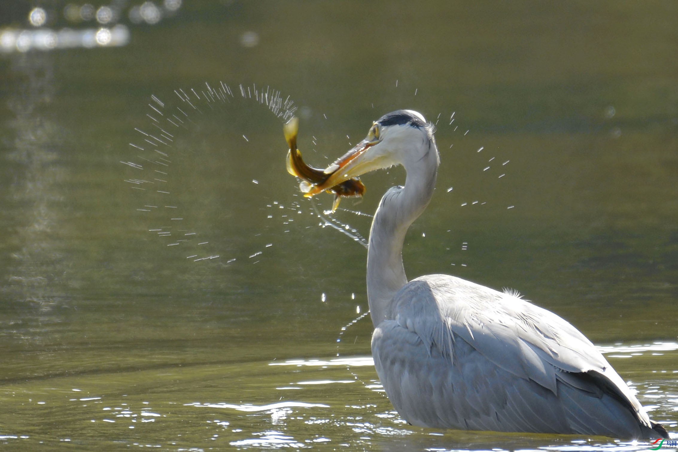 �e������