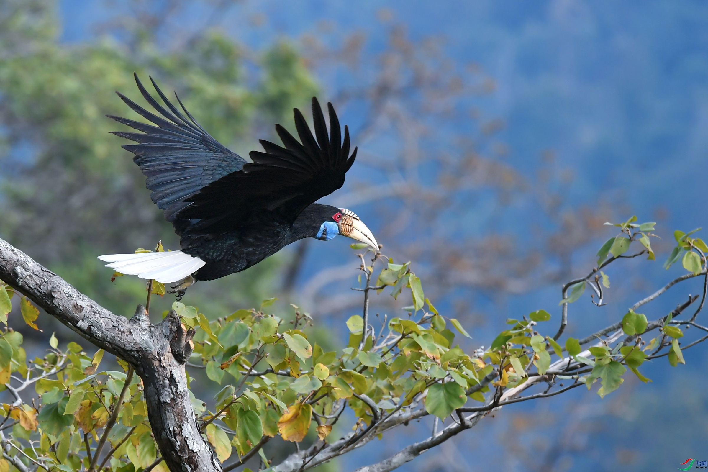 DSC_6541x.jpg