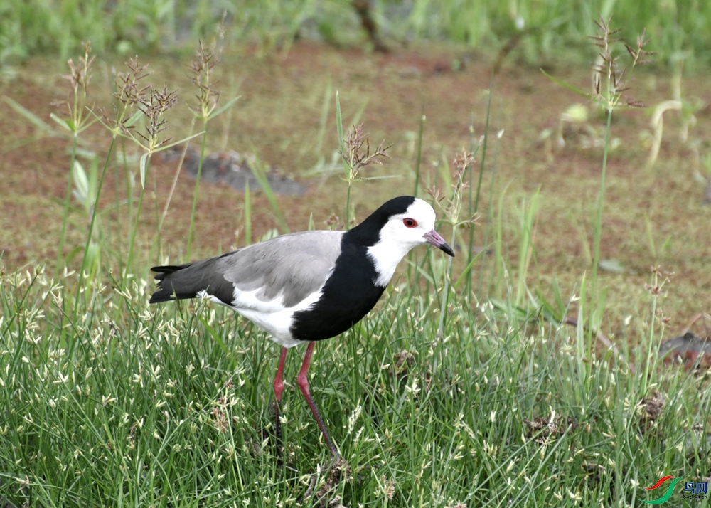 _DSC9889.jpg