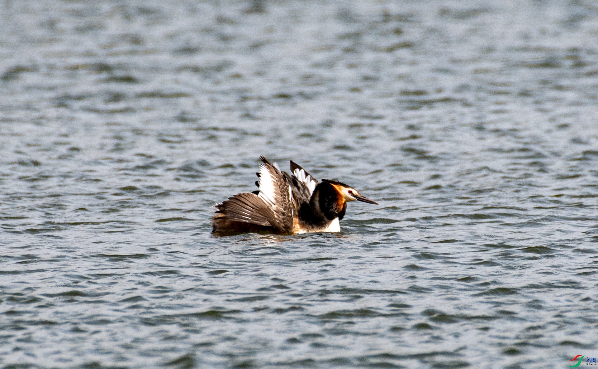 DSC_1664.jpg