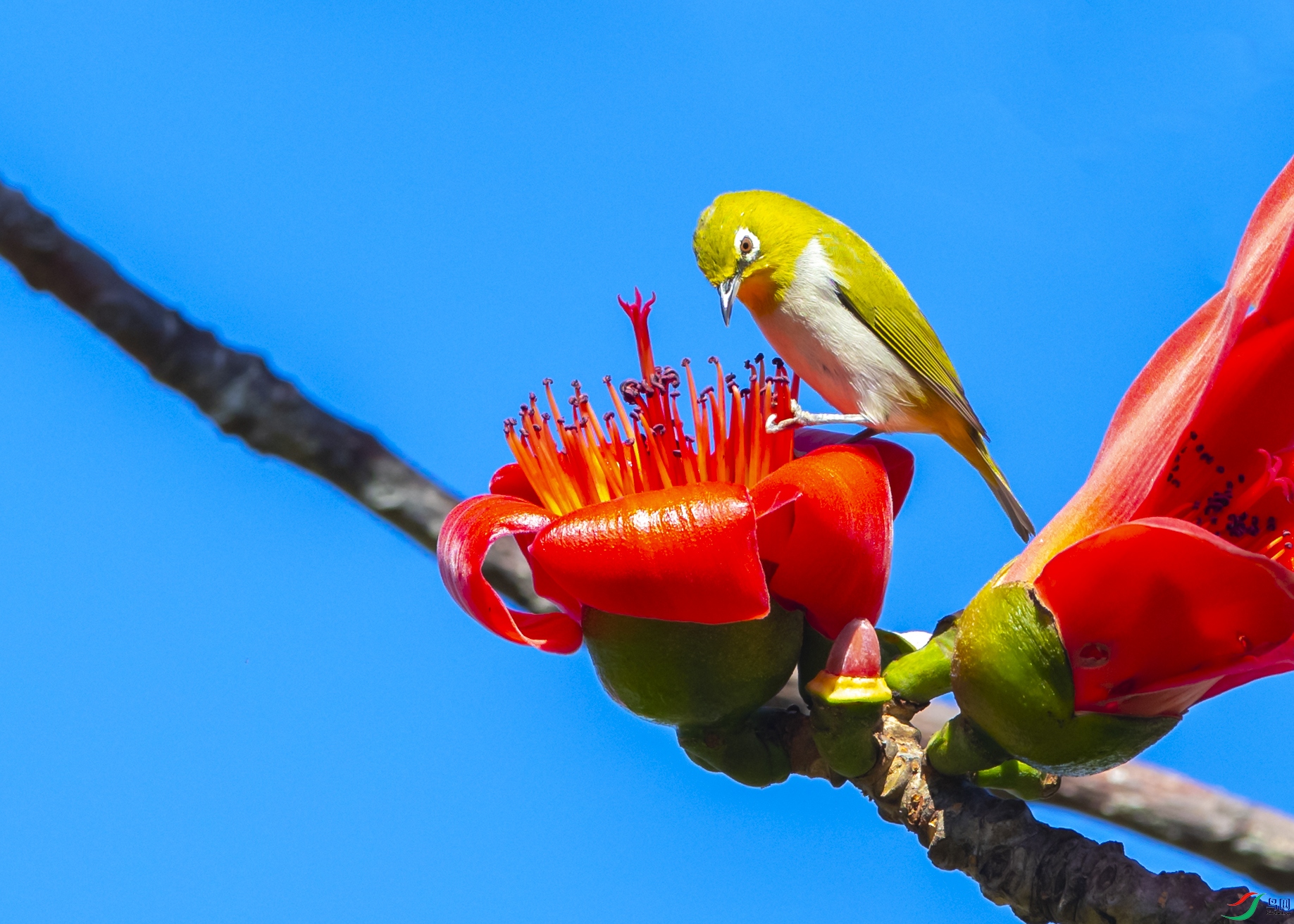 9794 ����.jpg