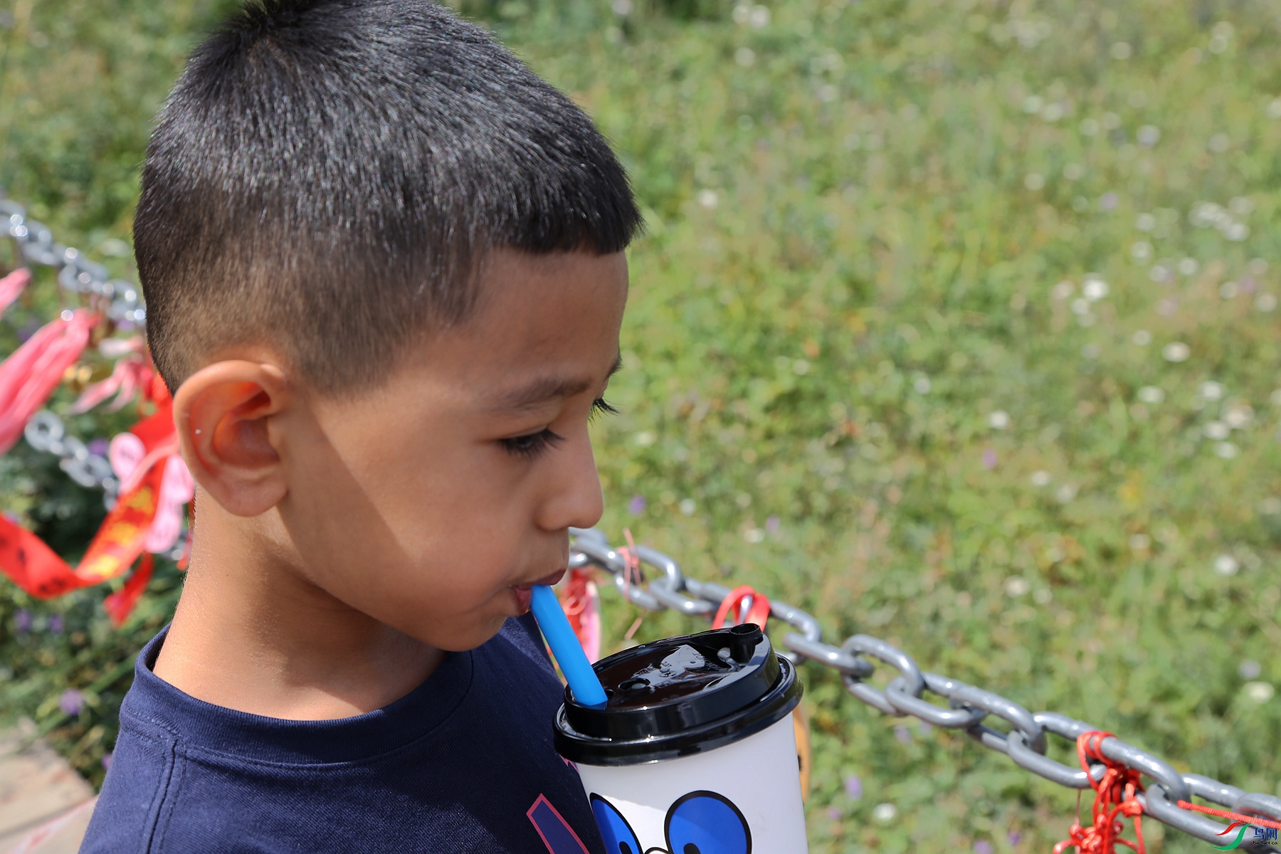 ��������С����