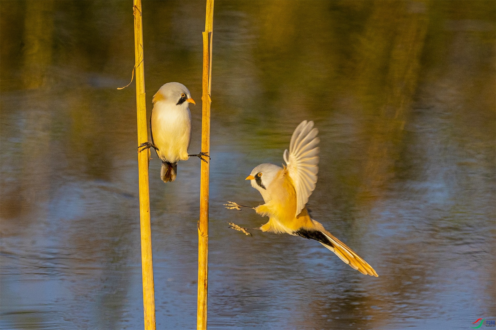 1K3A6922 ����1.jpg