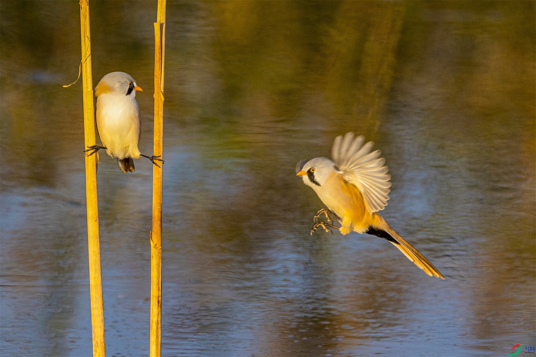 1K3A6921 ����1.jpg