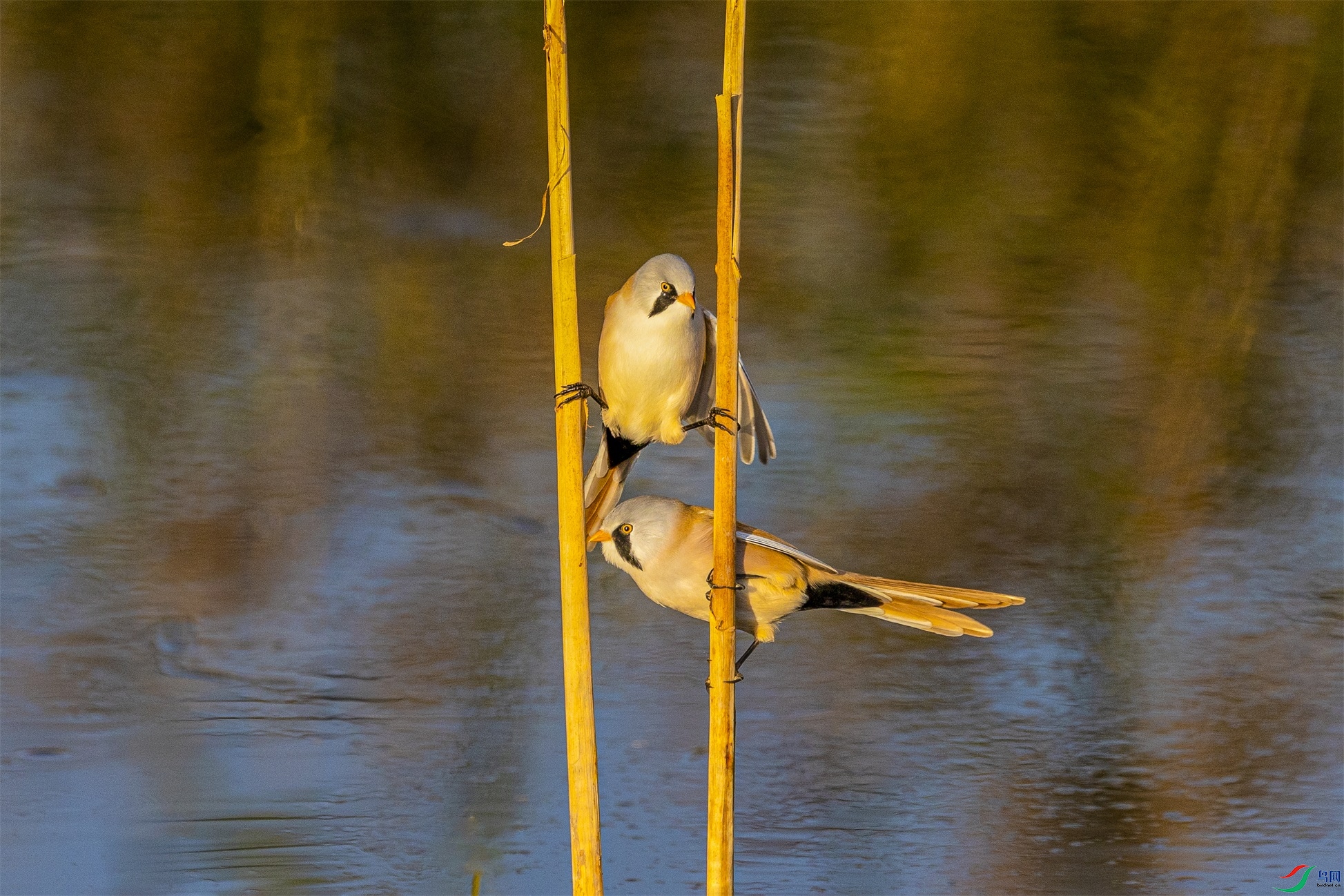 1K3A6924 ����1.jpg