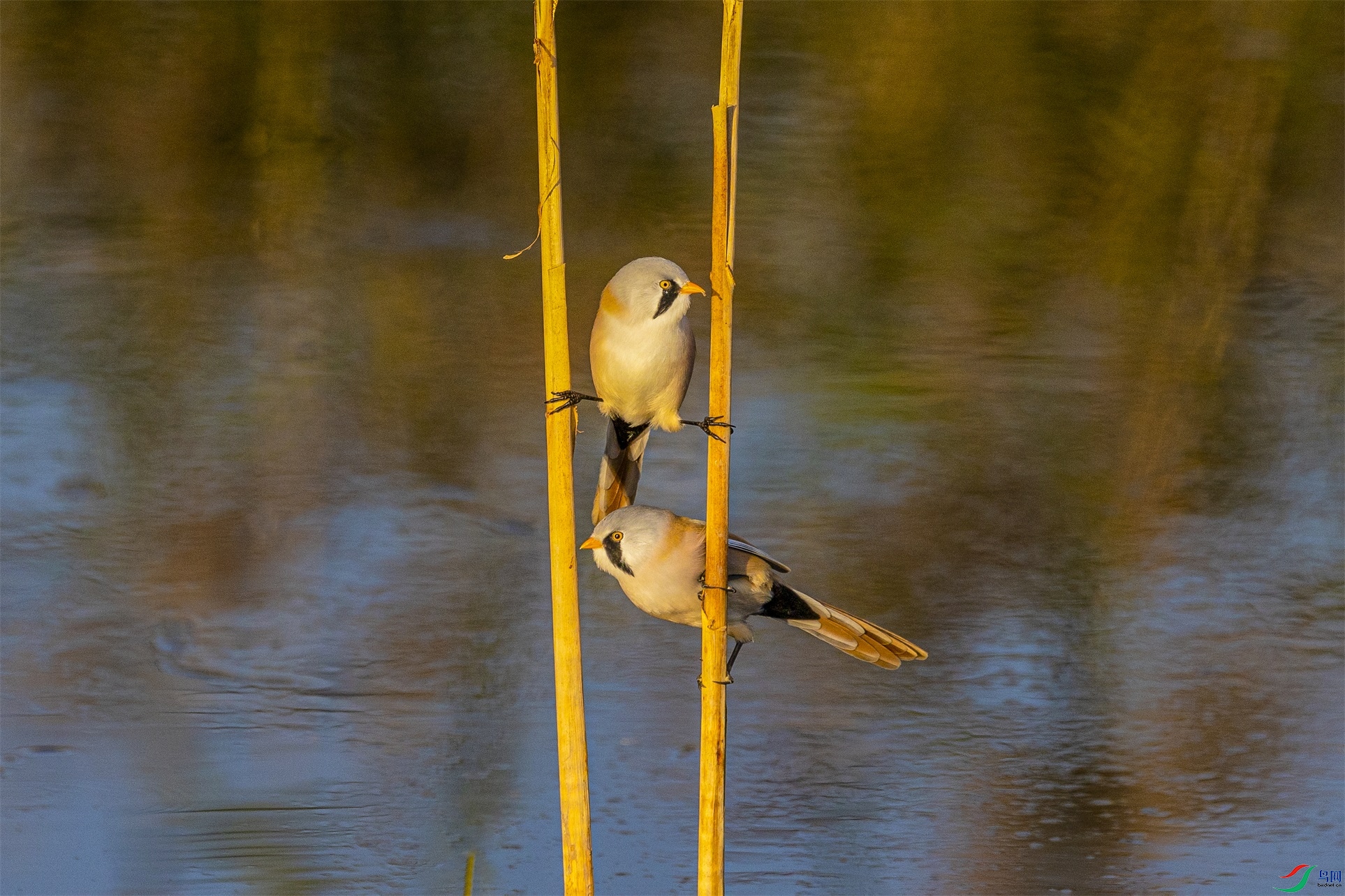 1K3A6925 ����1.jpg