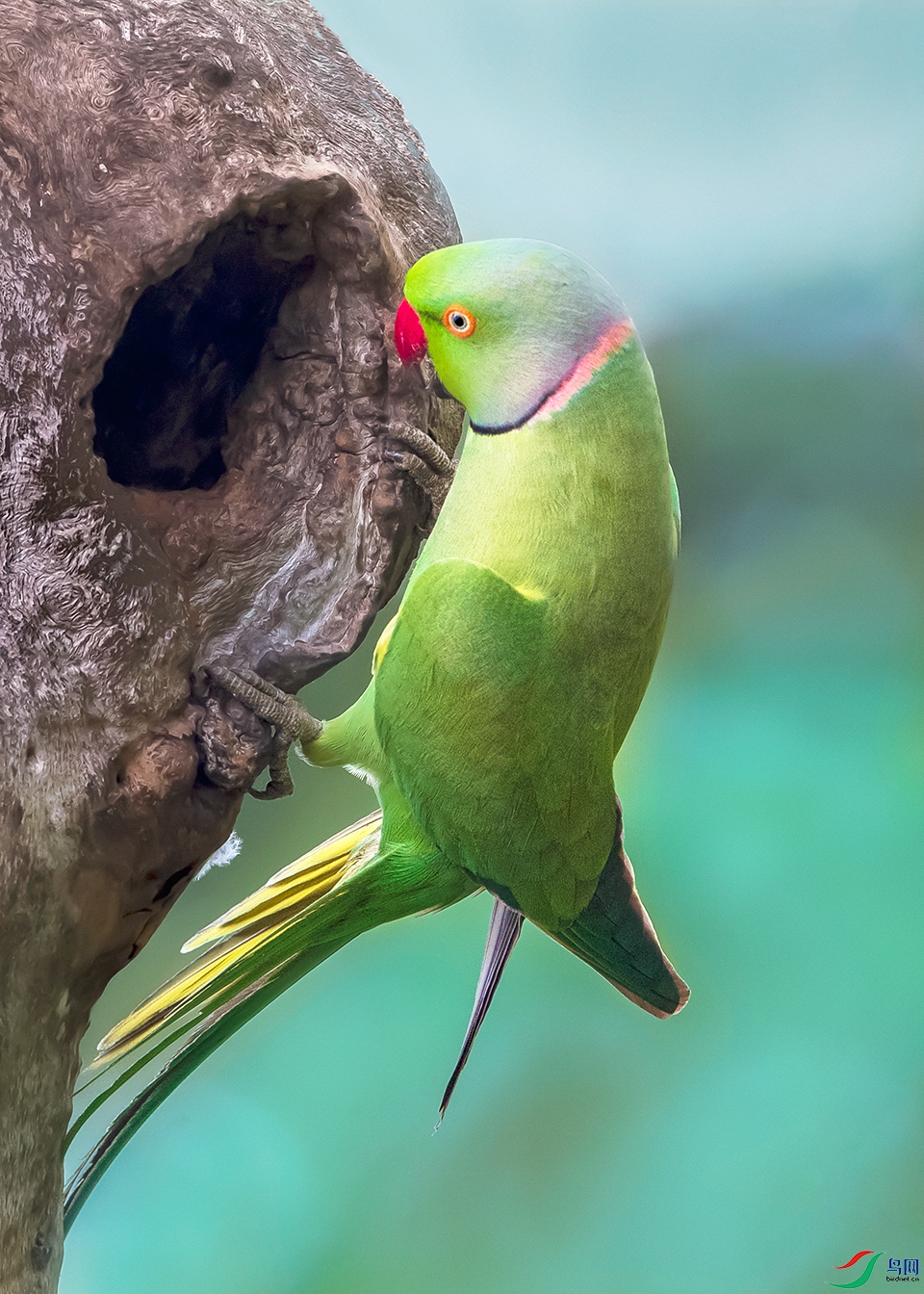 ����������----�ػ�����