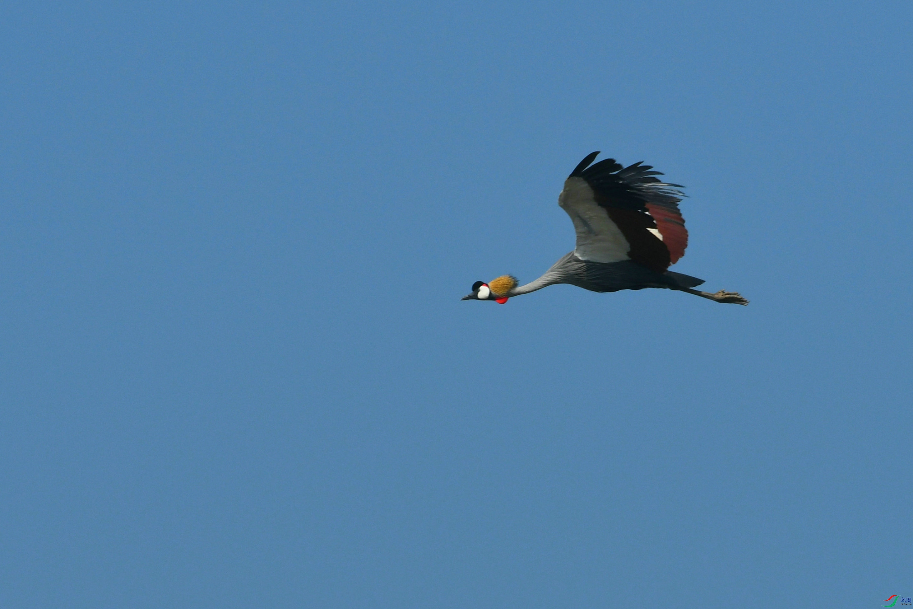 DSC_8234.JPG