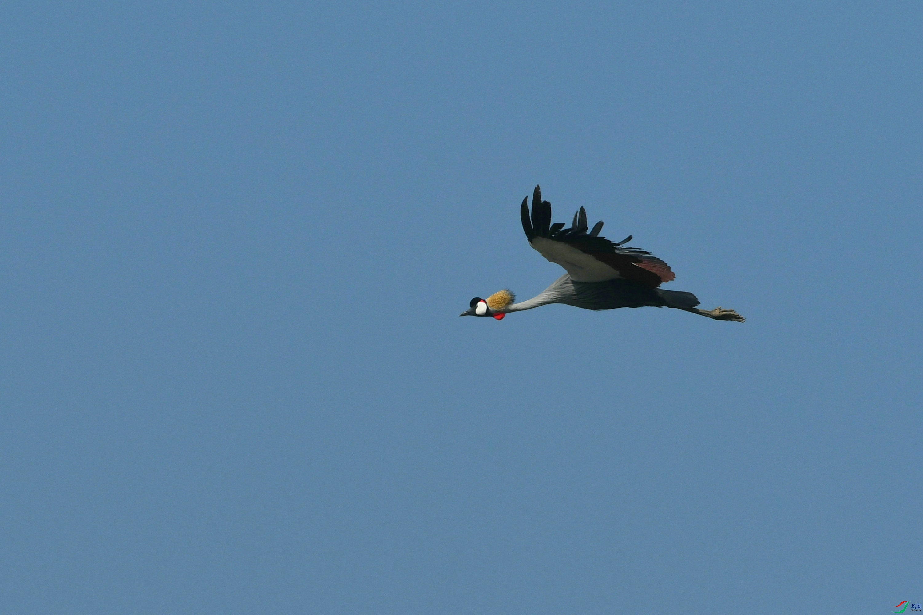DSC_8235.JPG