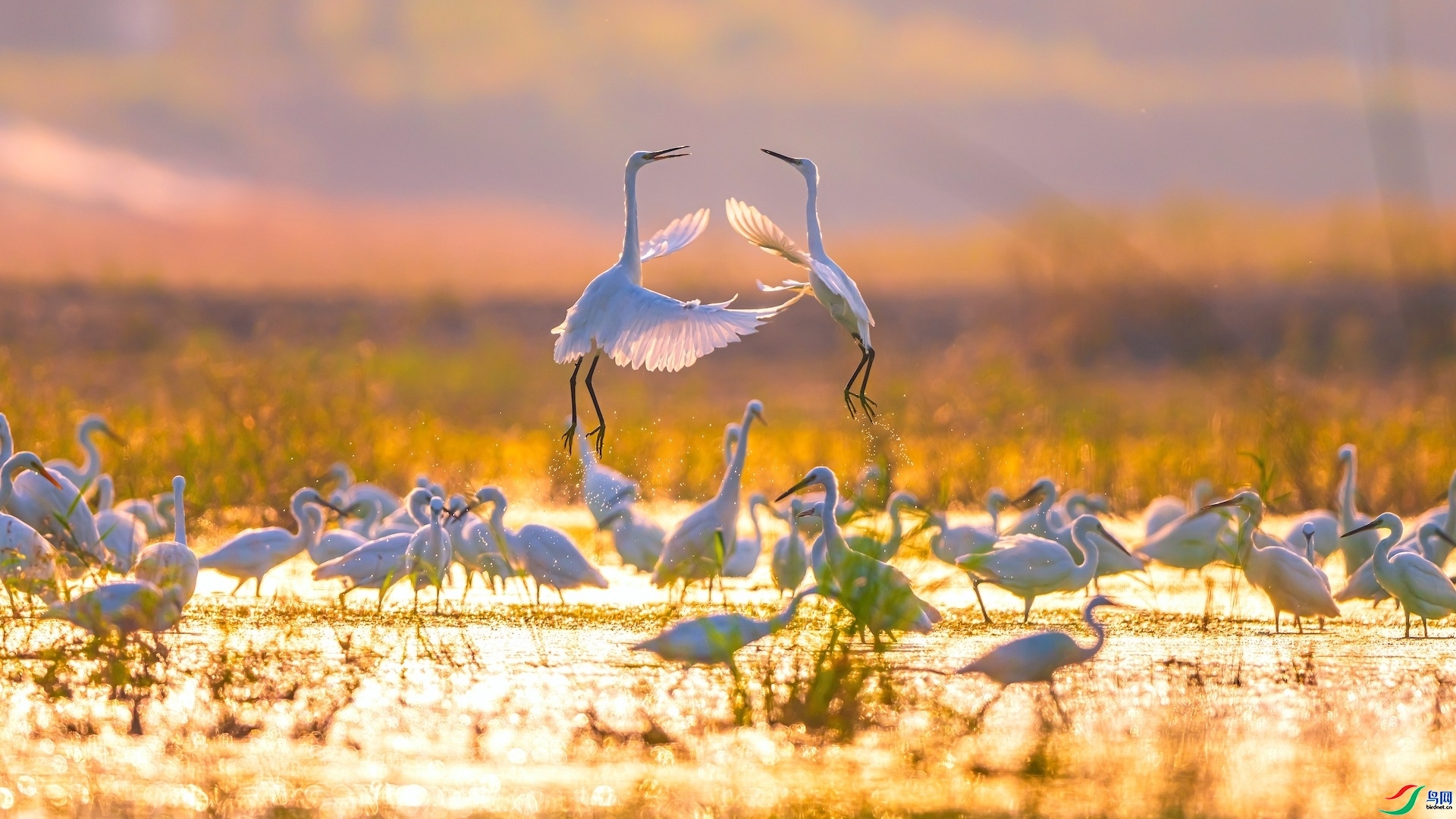 ÿ�ռ������� ������ɽ����Ӱ.jpeg