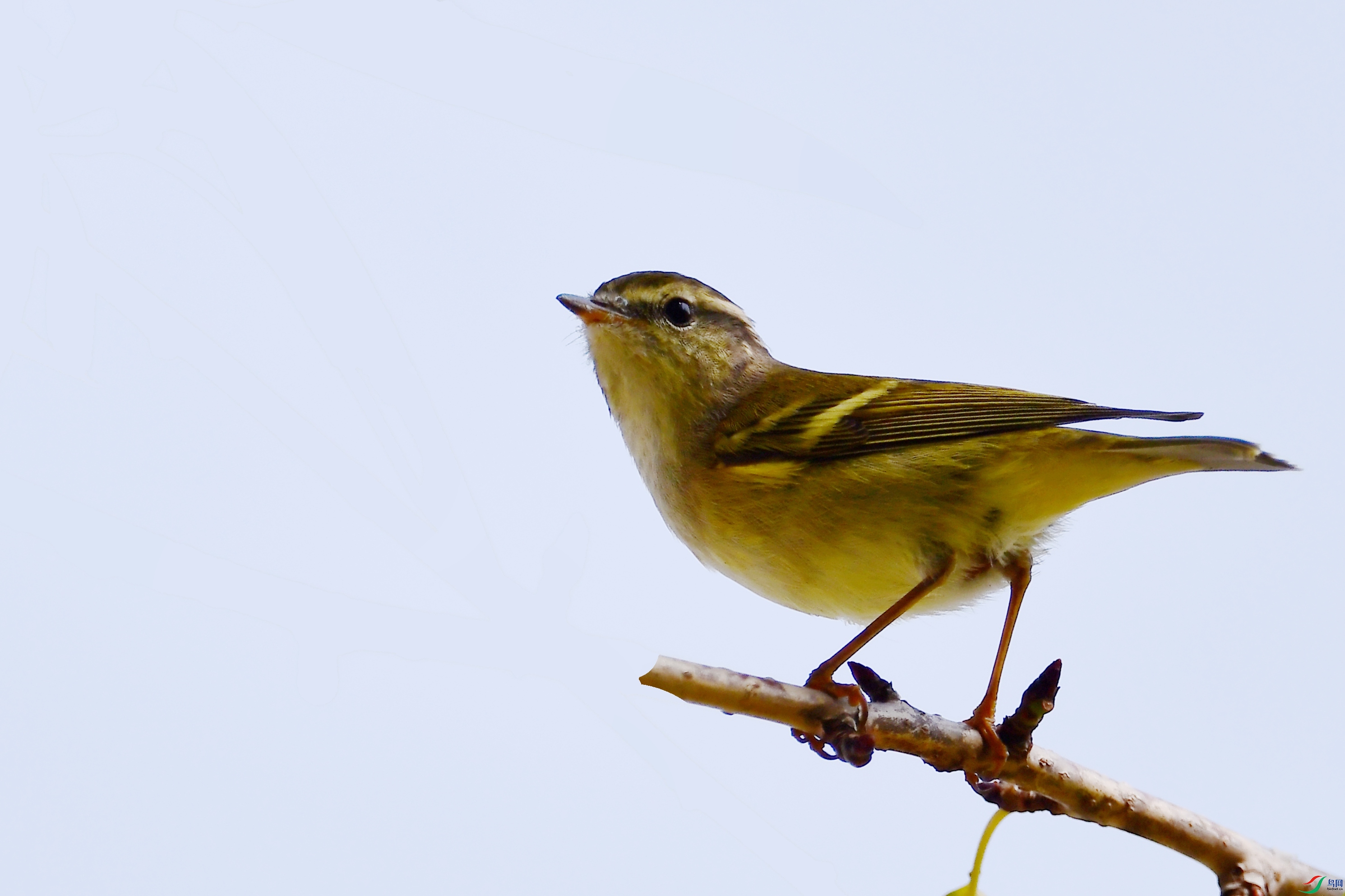 DSC_1644.JPG