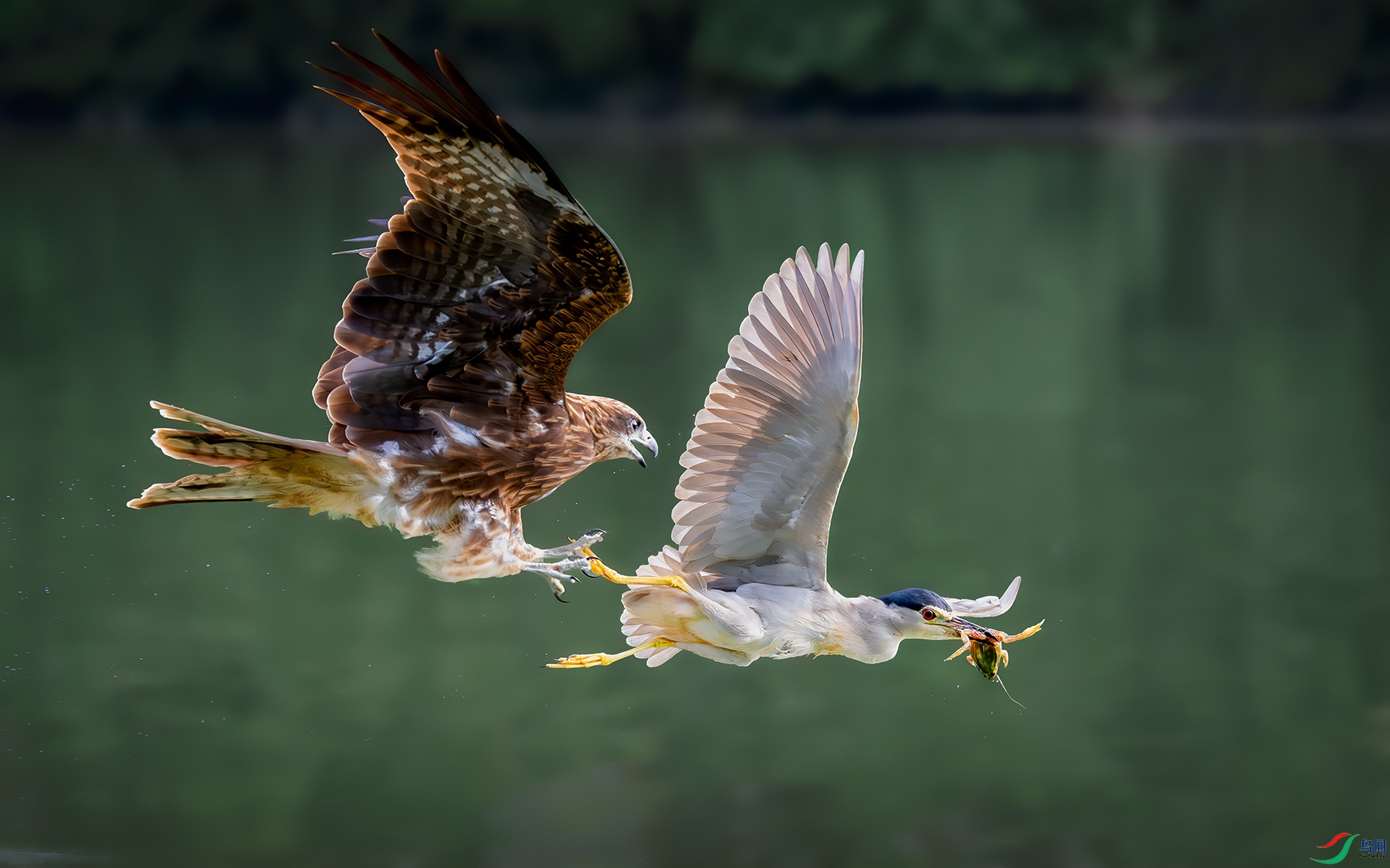 DSC_0335-����ǿ-NR ����.jpg