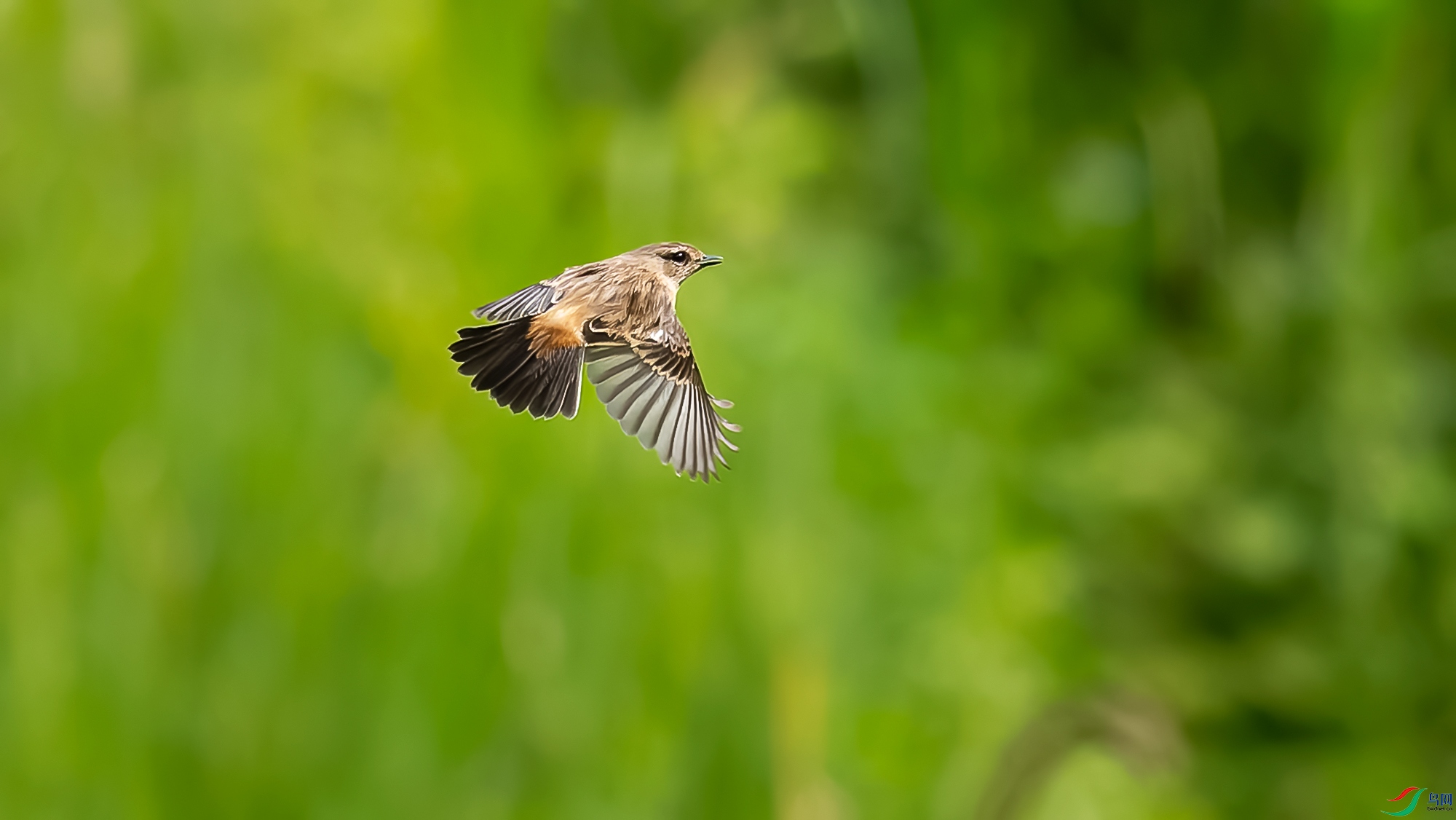 DxO_DeepPRIME__8225997-ORF_DxO_DeepPRIME ����.jpg