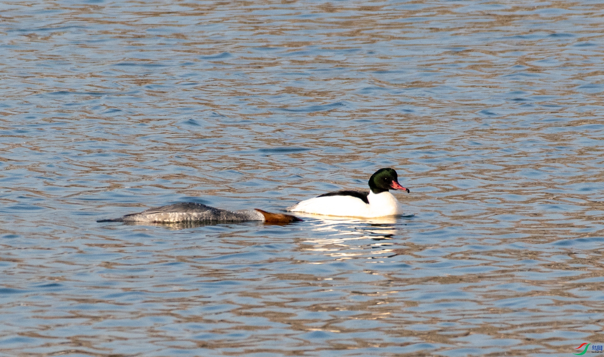 DSC_5943.jpg