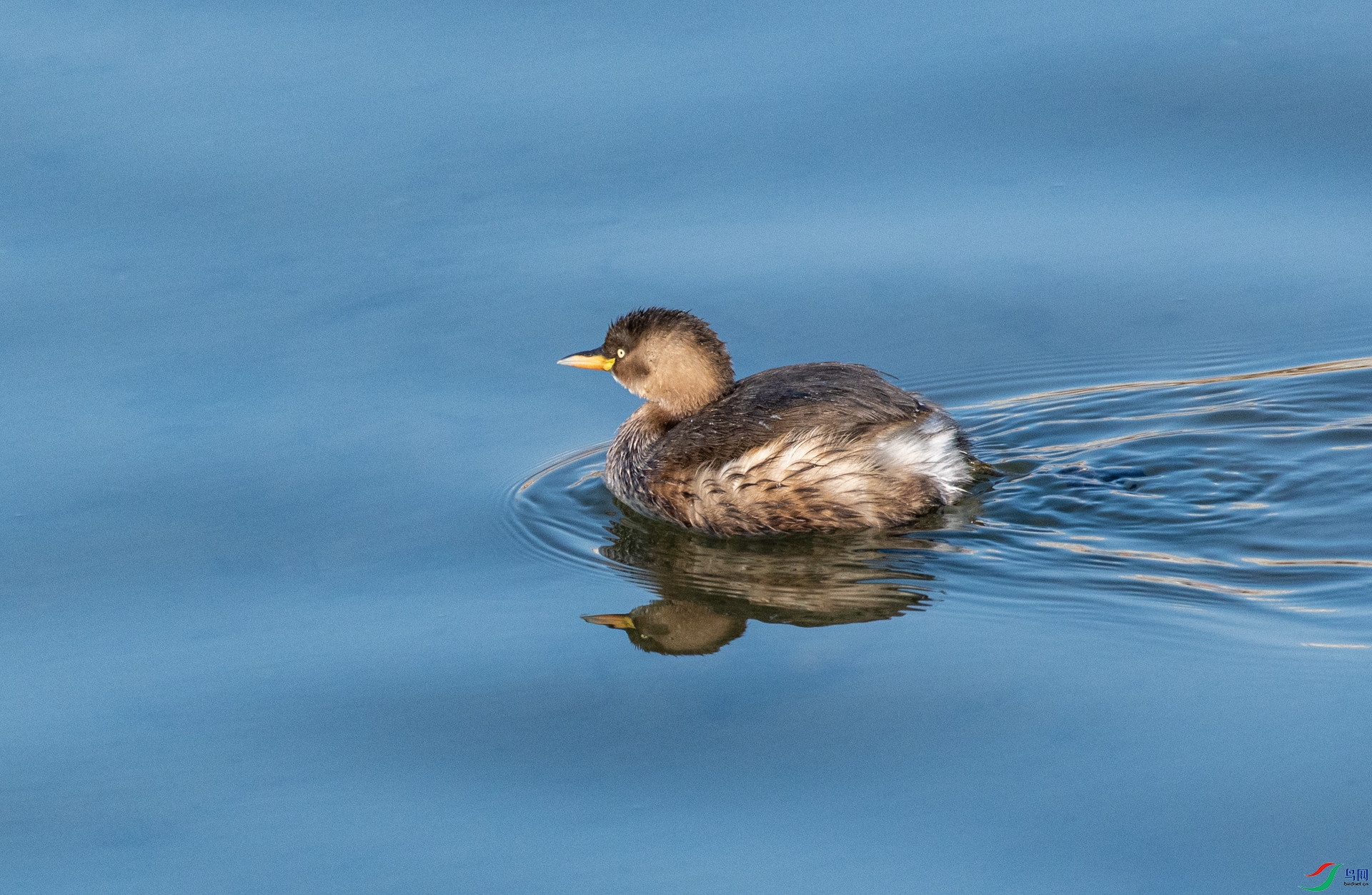 DSC_6161.jpg
