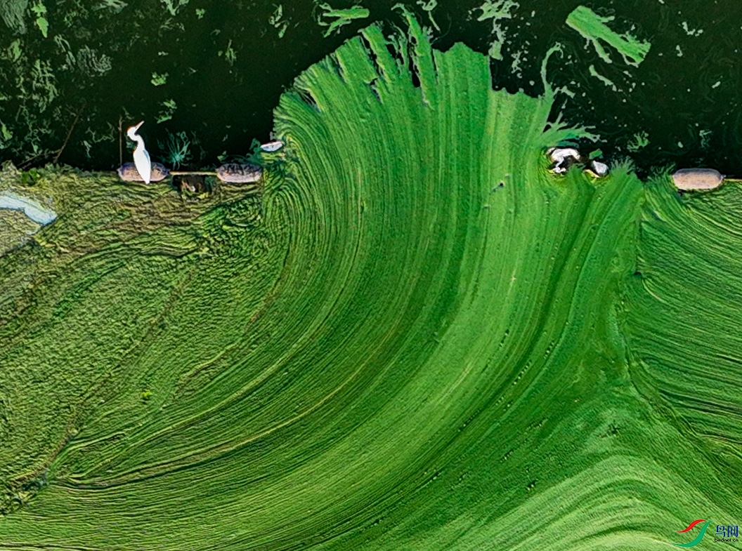 DJI_0360.JPG