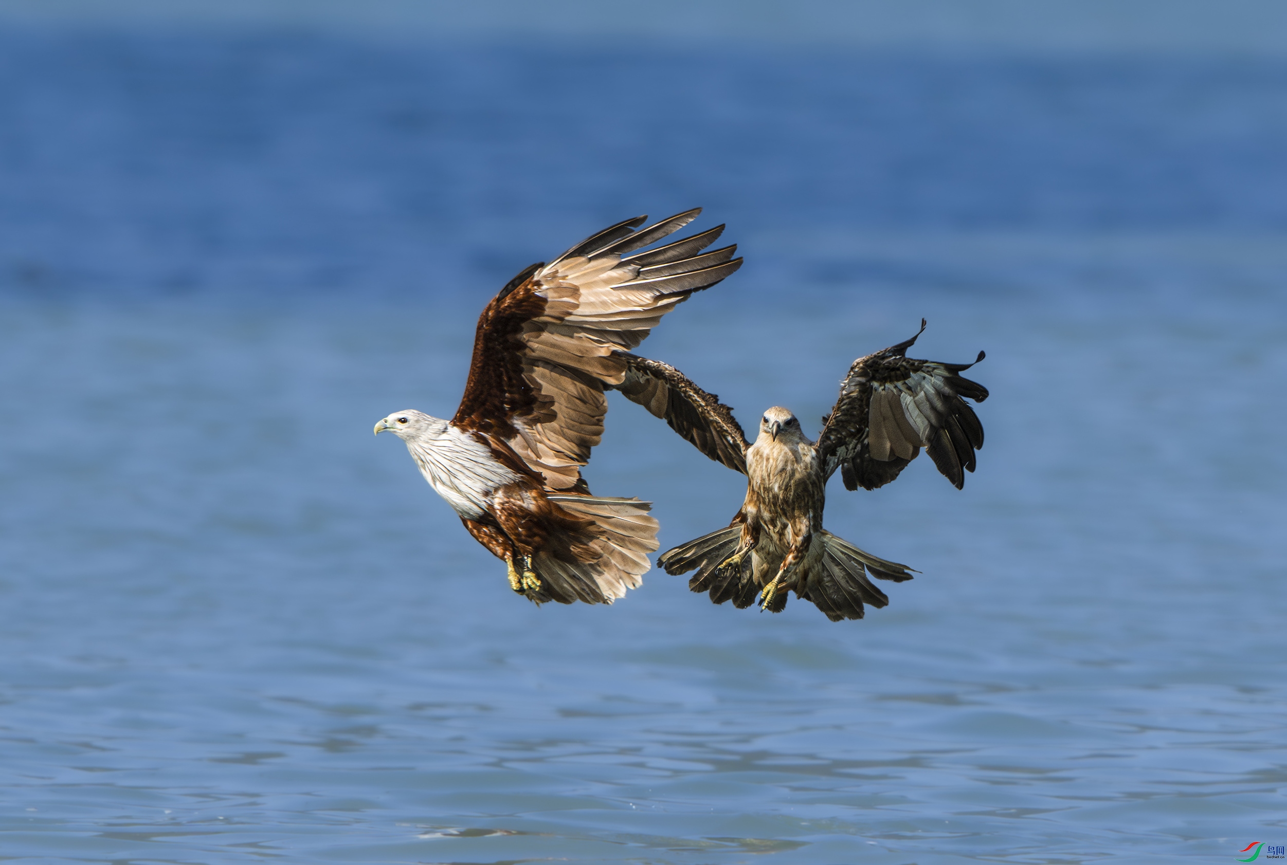 DSC_1104.jpg