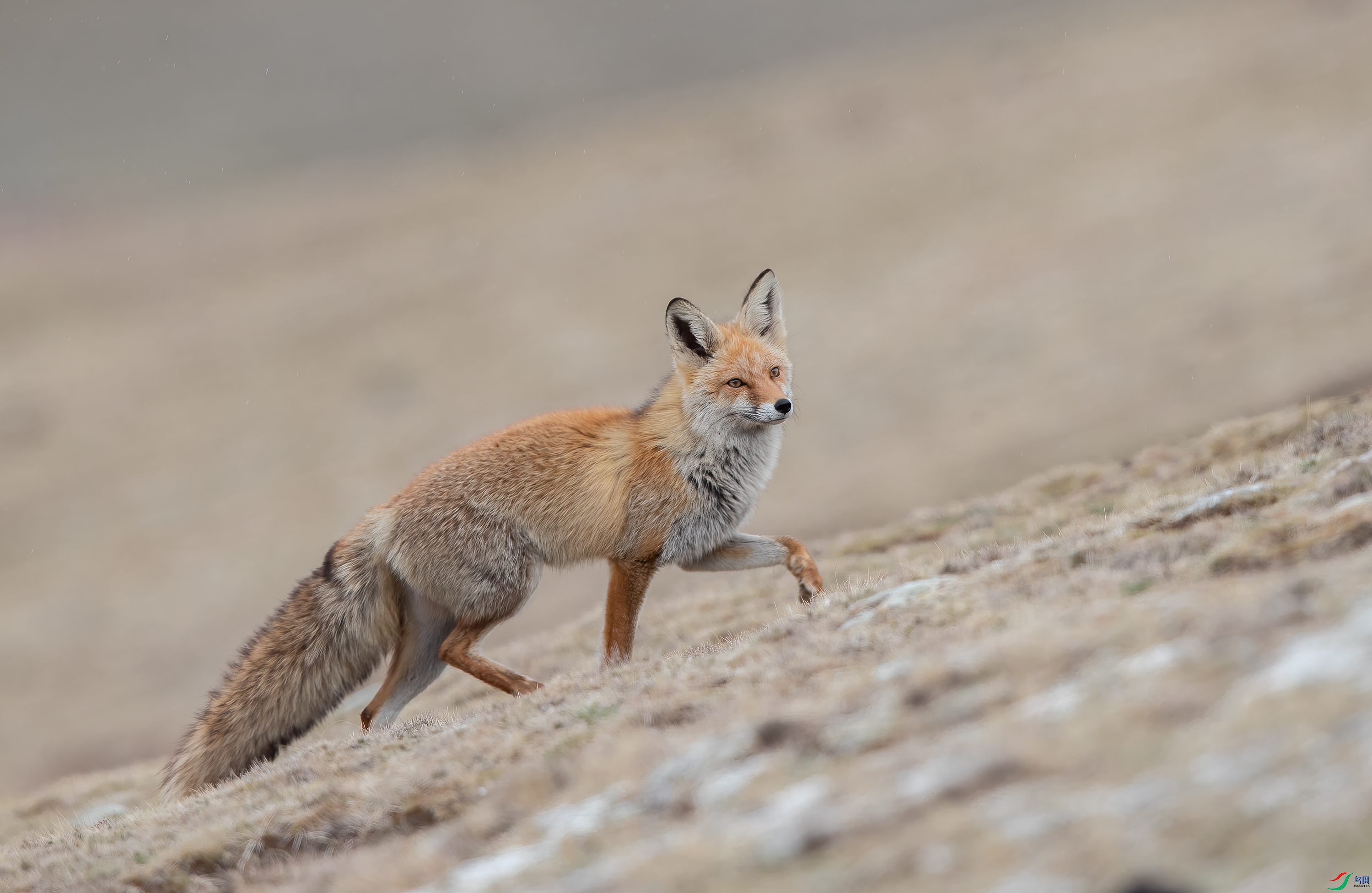 AY8I0530 ����.jpg