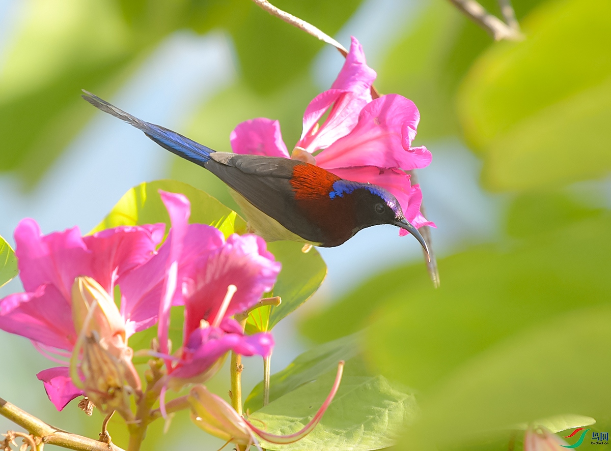 DSC_4044.JPG