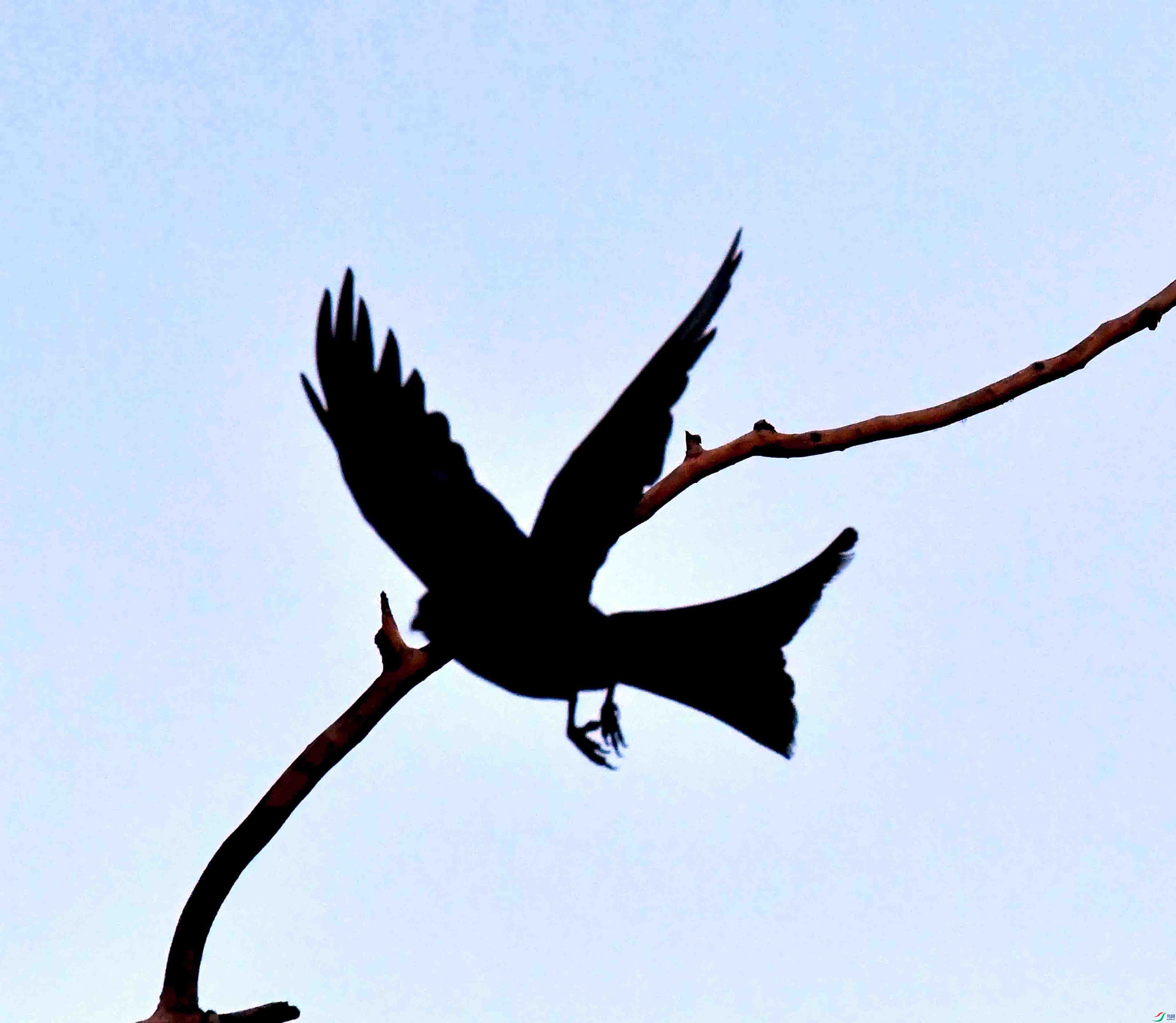 DSC_6232.JPG