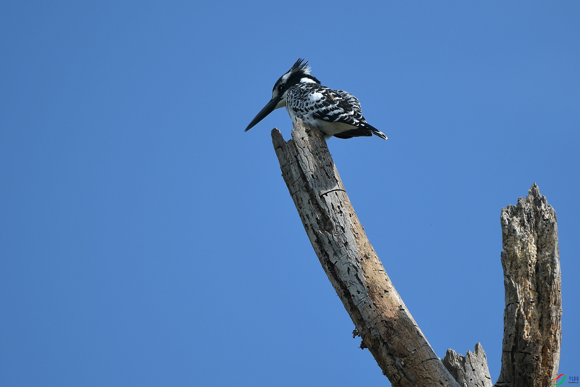 DSC_8646.JPG