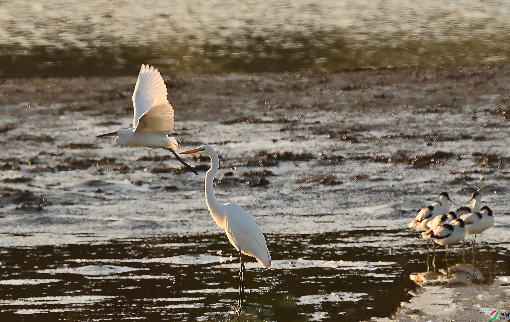 ��С���غͷ�����